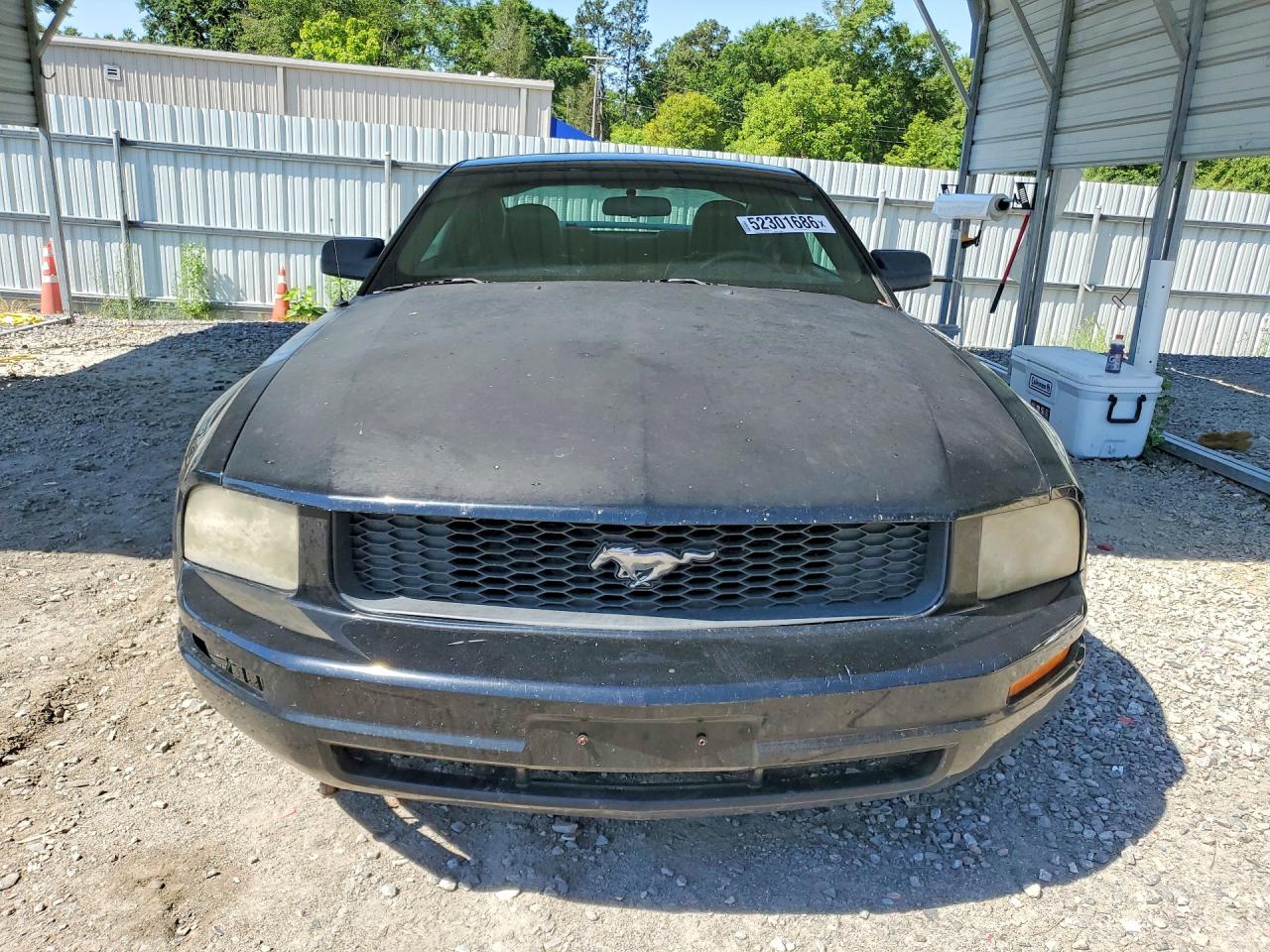 2005 Ford Mustang Черный vin: 1ZVFT80N055193401