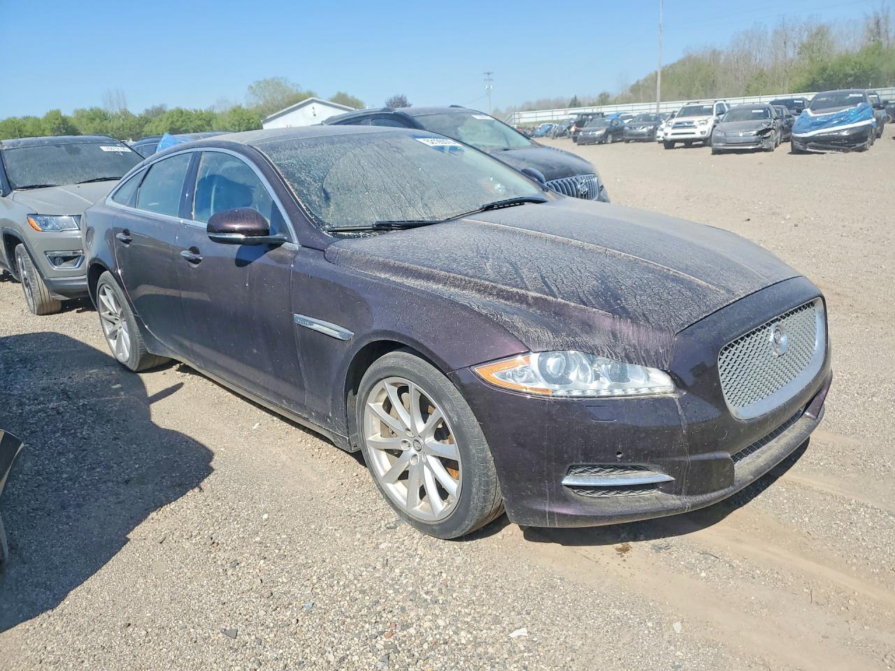 2013 Jaguar Xj Бордовый vin: SAJWA1C78D8V41800