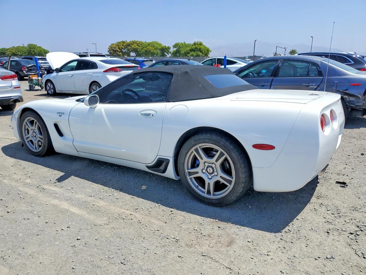 1999 Chevrolet Corvette Белый vin: 1G1YY32G9X5101888