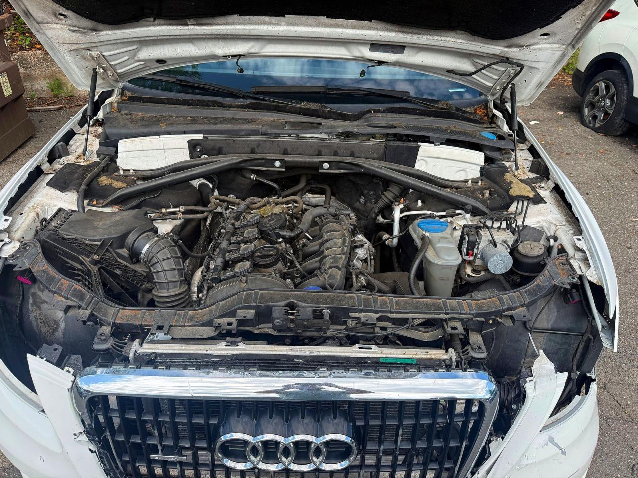 2012 Audi Q5 Premium Plus Белый vin: WA1LFAFP0CA06698
