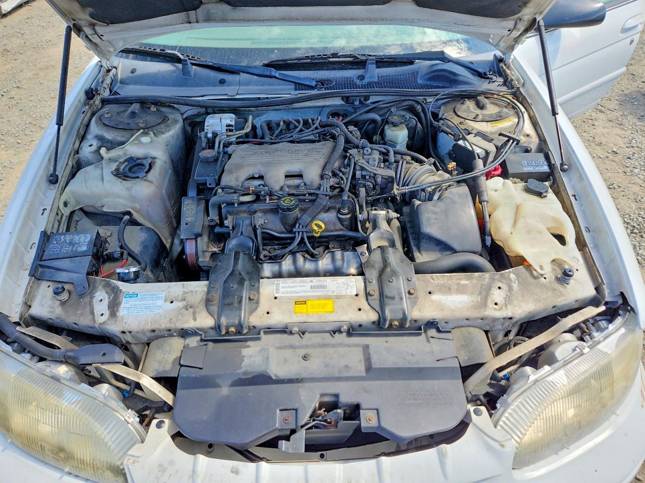 1999 Chevrolet Lumina Base White vin: 2G1WL52M5X9187663