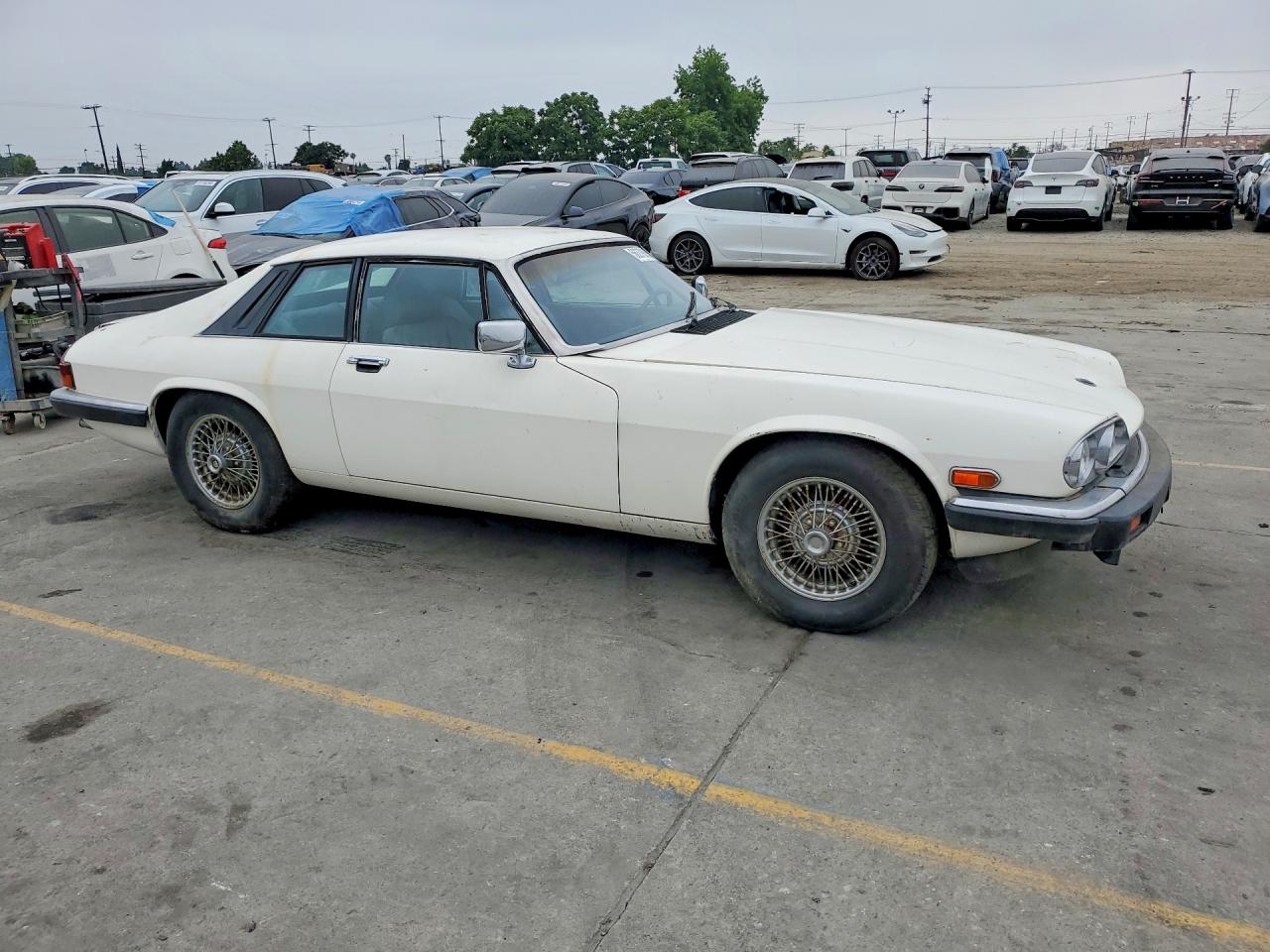 1984 Jaguar Xjs White vin: SAJNV5842EC113497