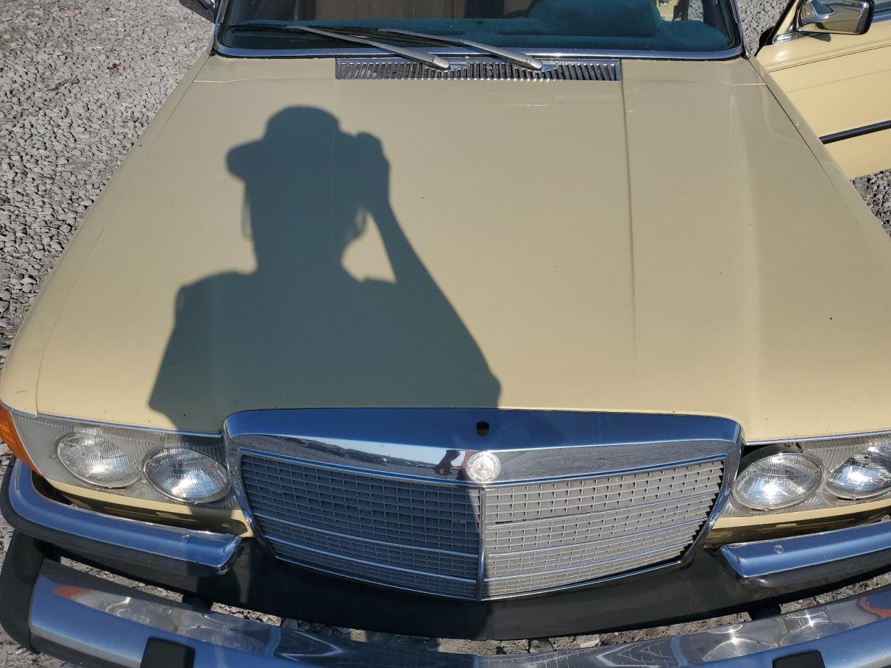 1977 Mercedes-benz 280 Se Желтый vin: 11602412077636