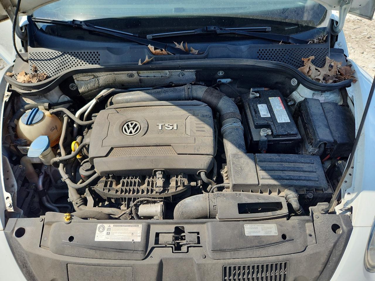 2014 Volkswagen Beetle Белый vin: 3VWJ17ATXEM661524