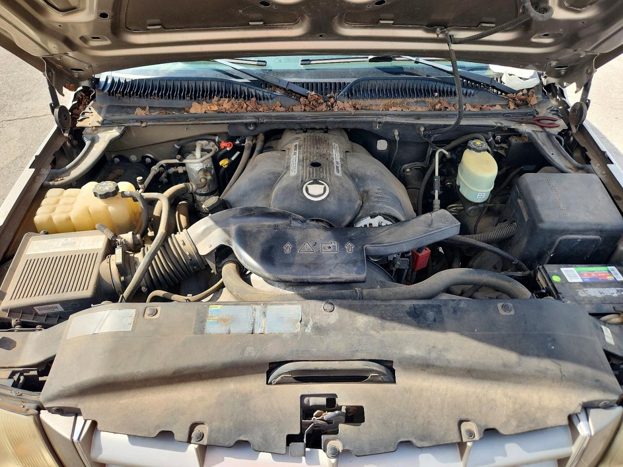 2002 Cadillac Escalade Luxury Tan vin: 1GYEK63N32R144113