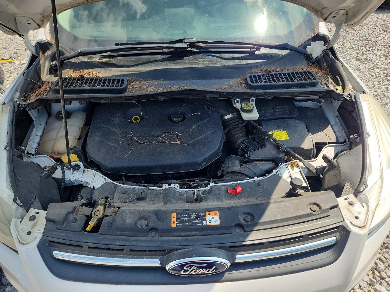 2014 Ford Escape Se White vin: 1FMCU9G95EUB82591