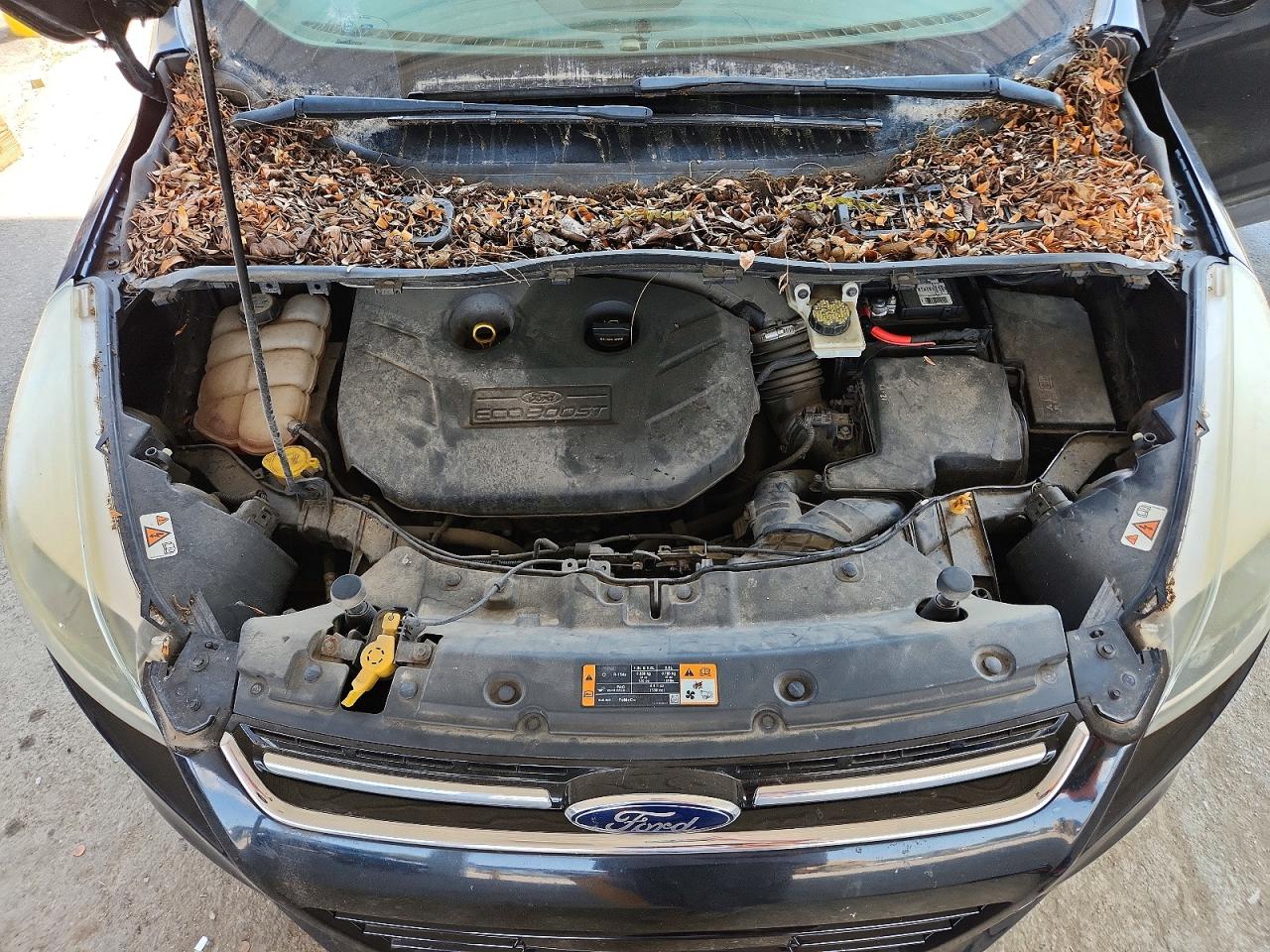 2013 Ford Escape Titanium Black vin: 1FMCU9J95DUC33305
