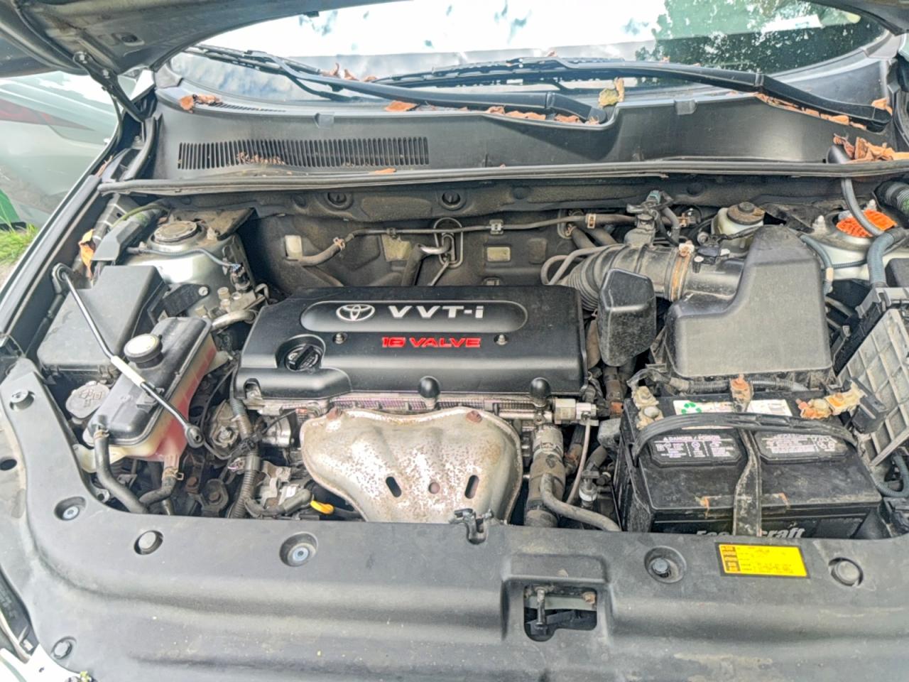 2008 Toyota Rav4 Base Green vin: JTMZD33VX86076788