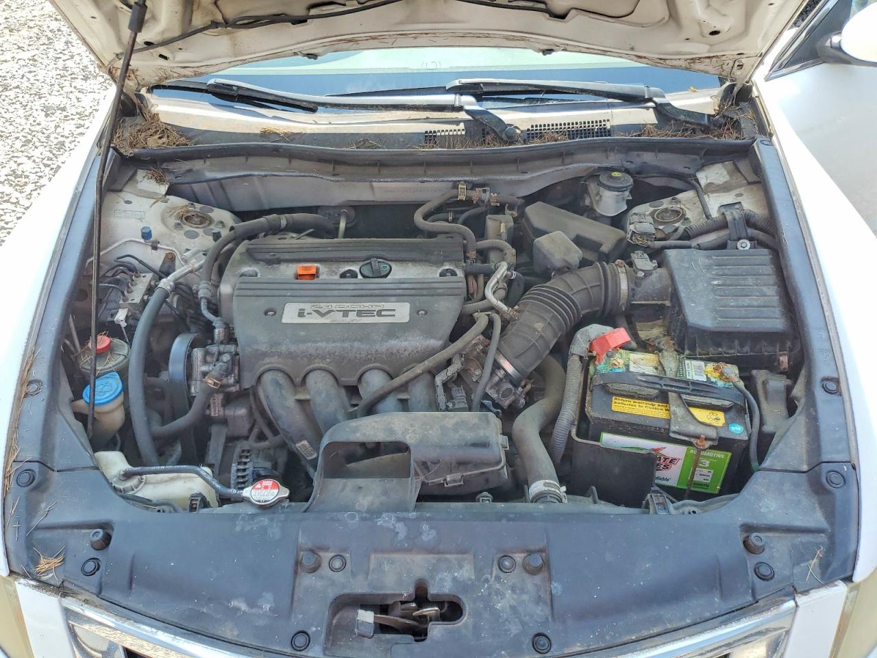 2009 Honda Accord Lx White vin: 1HGCP26339A194828