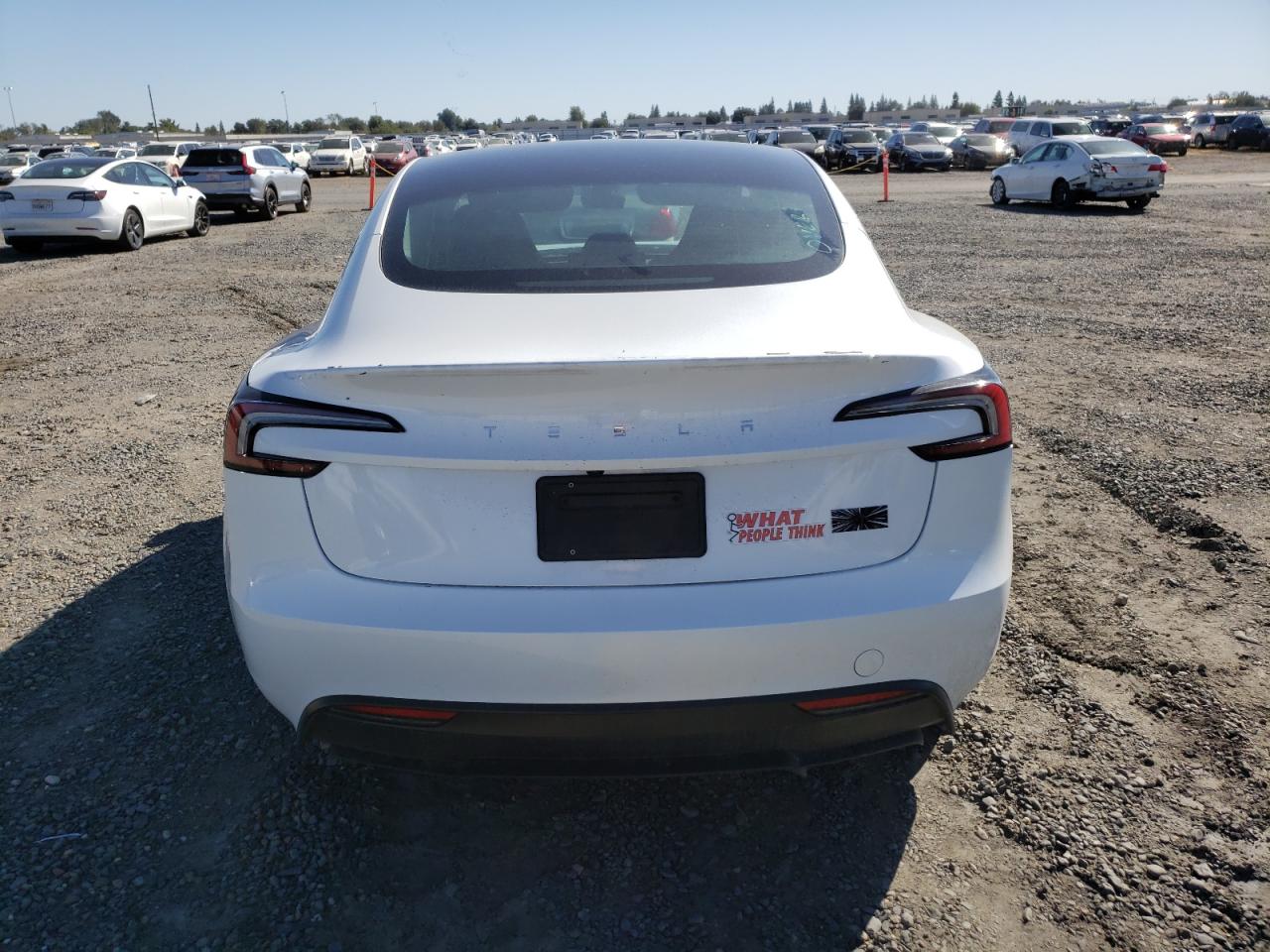 2025 Tesla Model 3 Белый vin: 5YJ3E1ET7SF030382