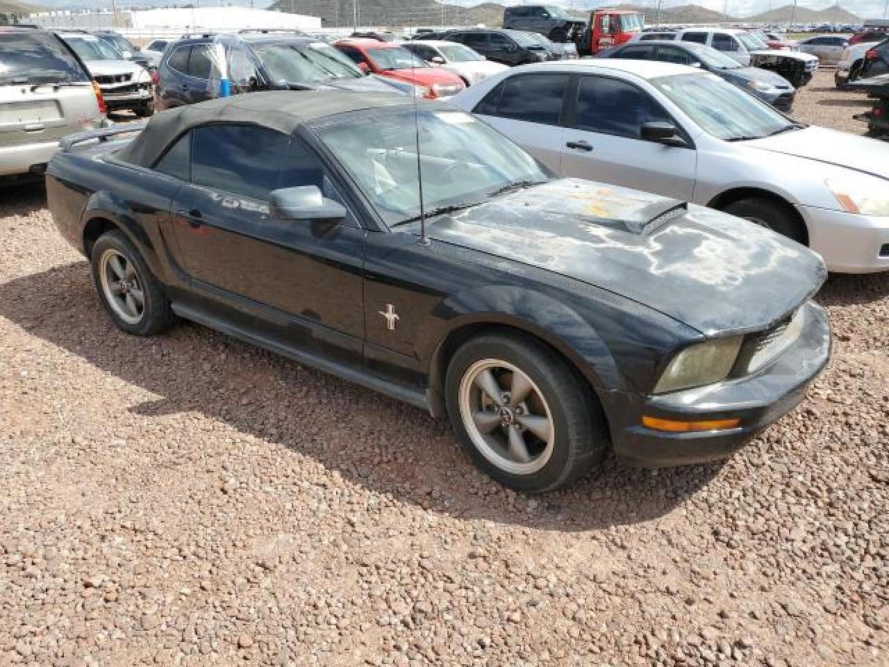 2006 Ford Mustang Black vin: 1ZVFT84N065125479