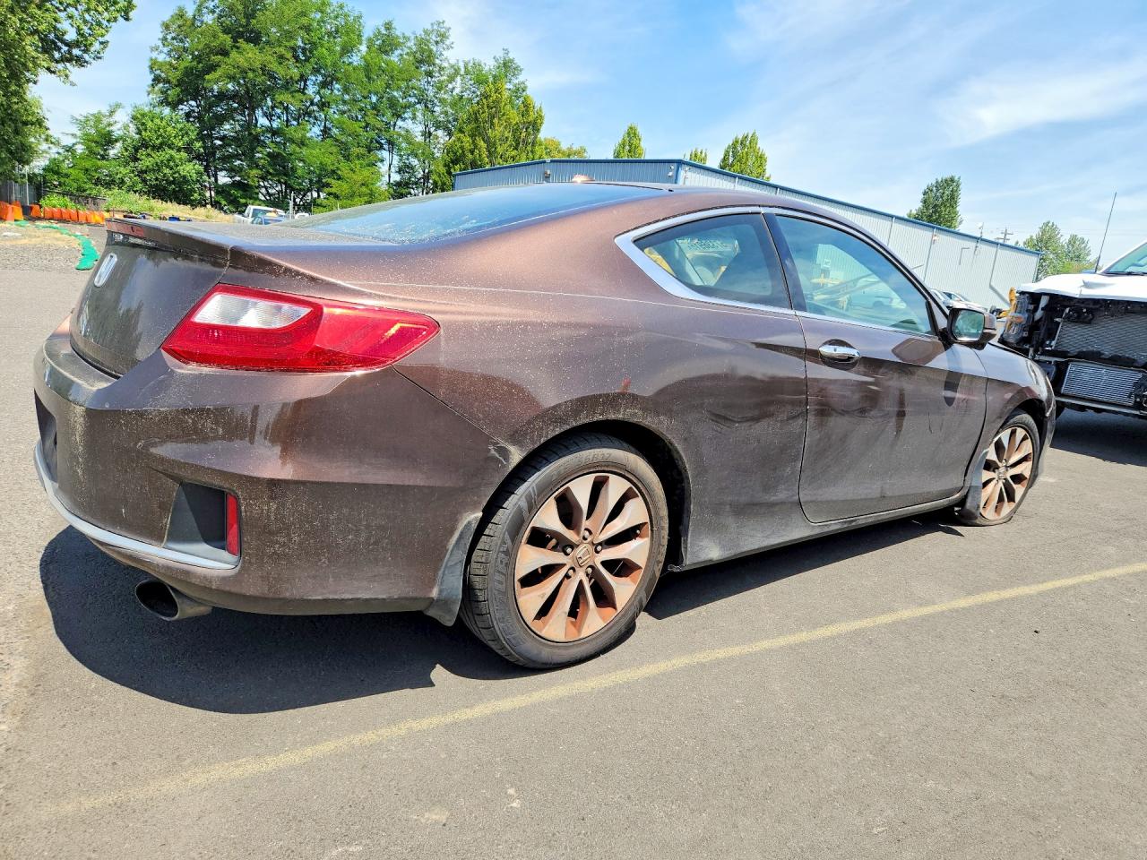 2013 Honda Accord Exl Brown vin: 1HGCT1B83DA007331