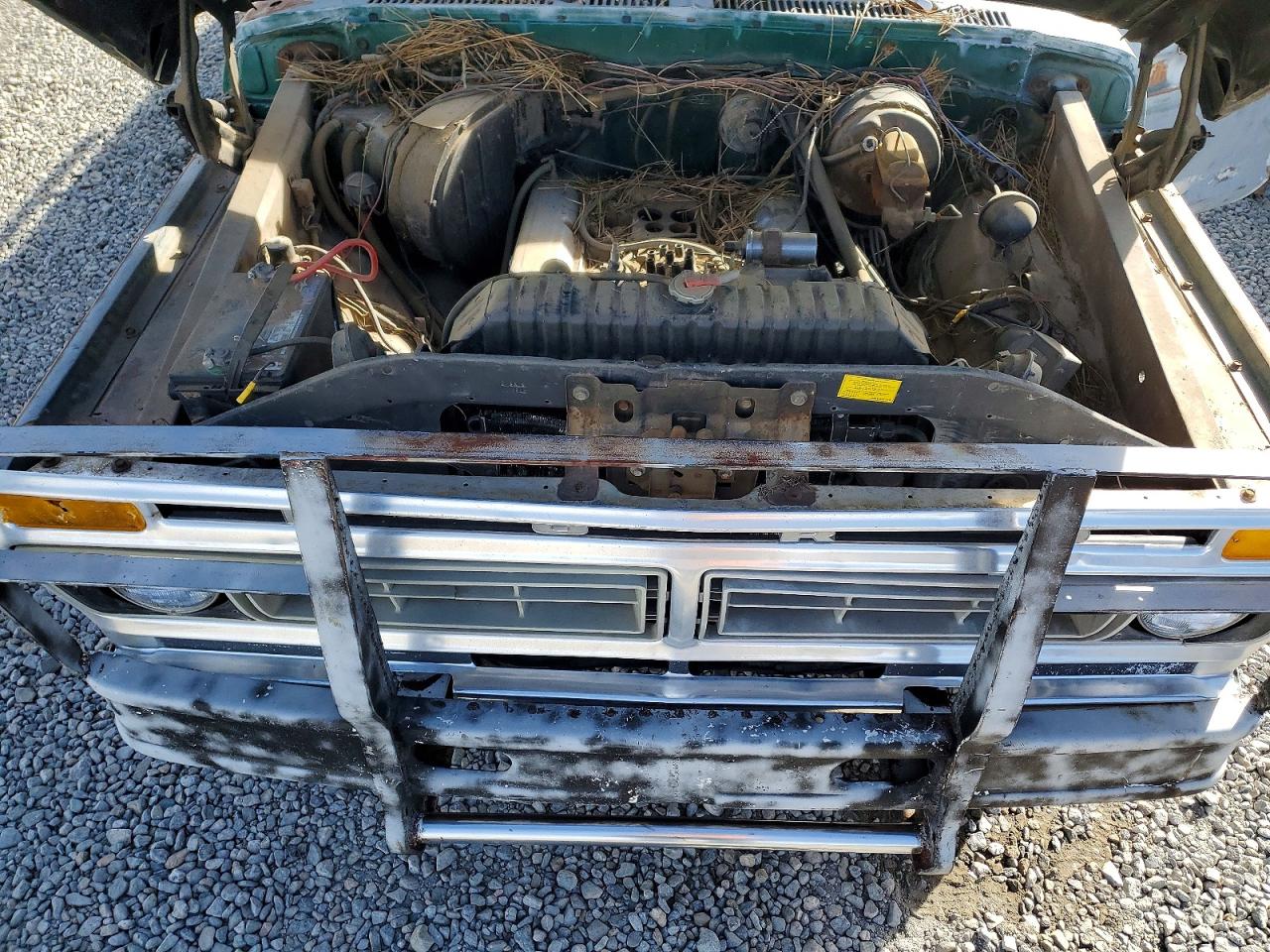 1977 Ford F350 Green vin: F35JCY23119