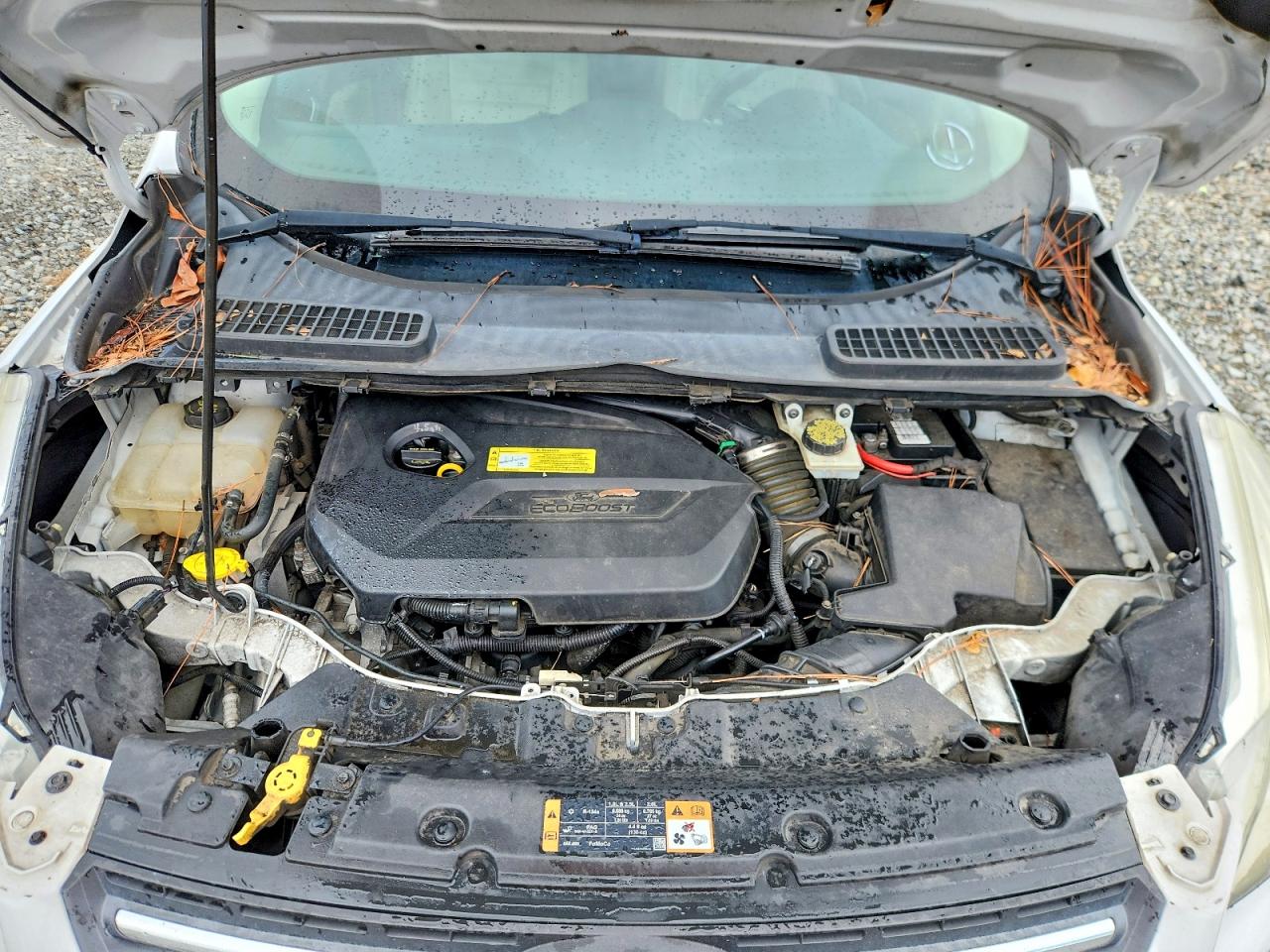 2014 Ford Escape Se Белый vin: 1FMCU0GX0EUC34820