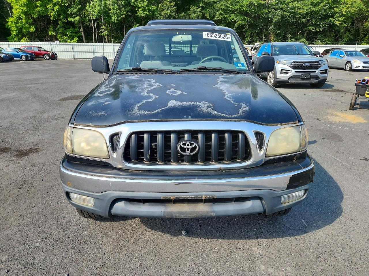 2001 Toyota Tacoma Base Black vin: 5TEWM72N91Z737831