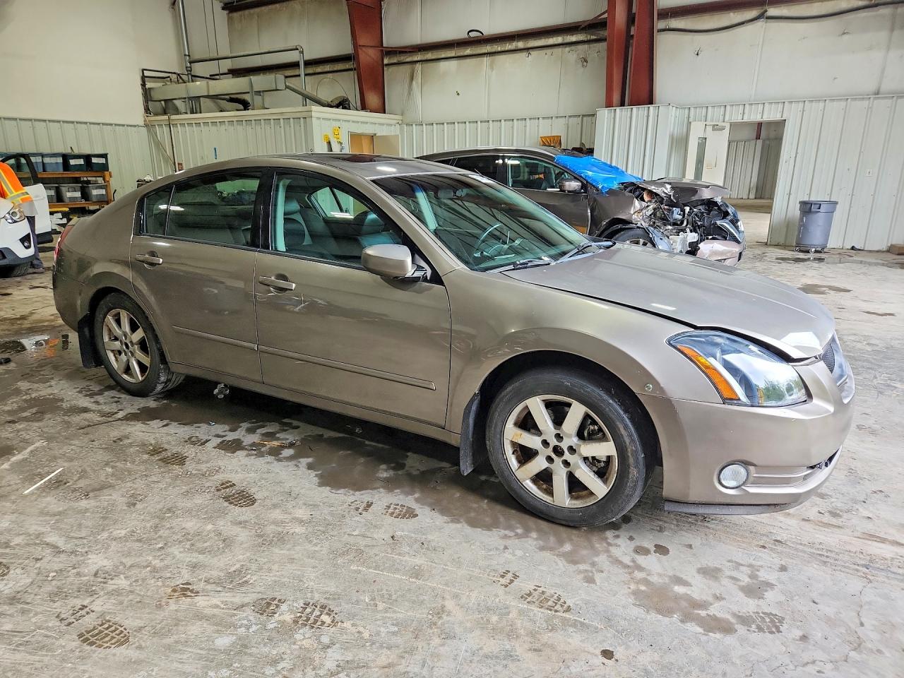 2006 Nissan Maxima 3.5 Se Gray vin: 1N4BA41E26C859269