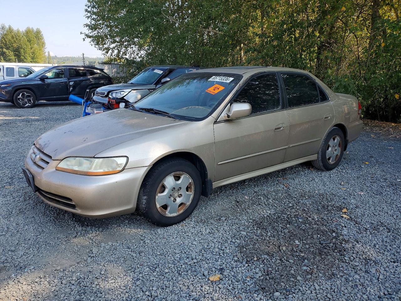 2002 Honda Accord Ex Желто-коричневый vin: 1HGCG16512A036649