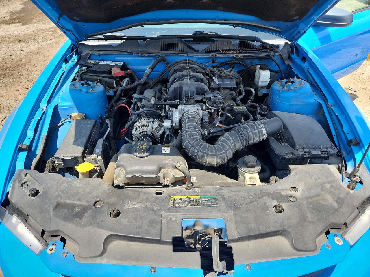 2010 Ford Mustang Blue vin: 1ZVBP8AN9A5165169