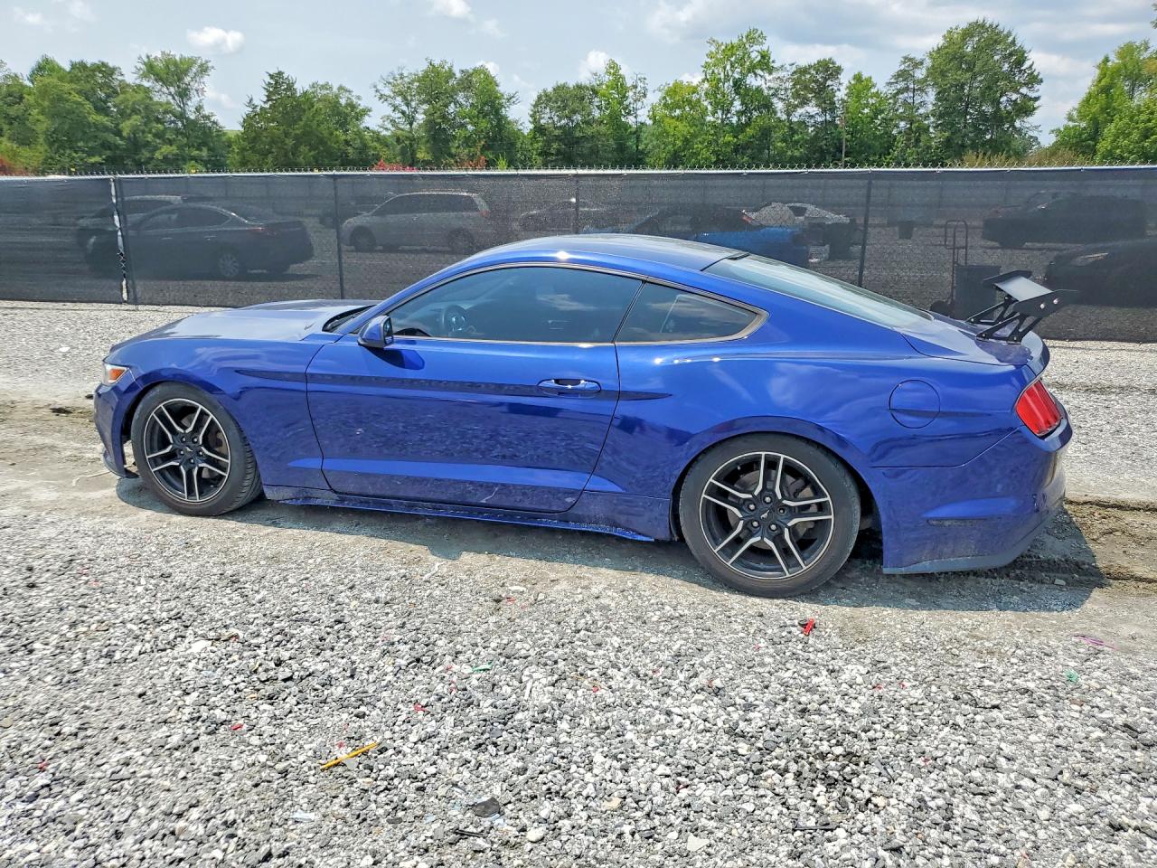 2015 Ford Mustang Синий vin: 1FA6P8AM0F5384935