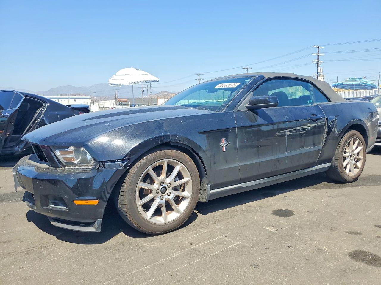 2010 Ford Mustang Black vin: 1ZVBP8EN1A5127395