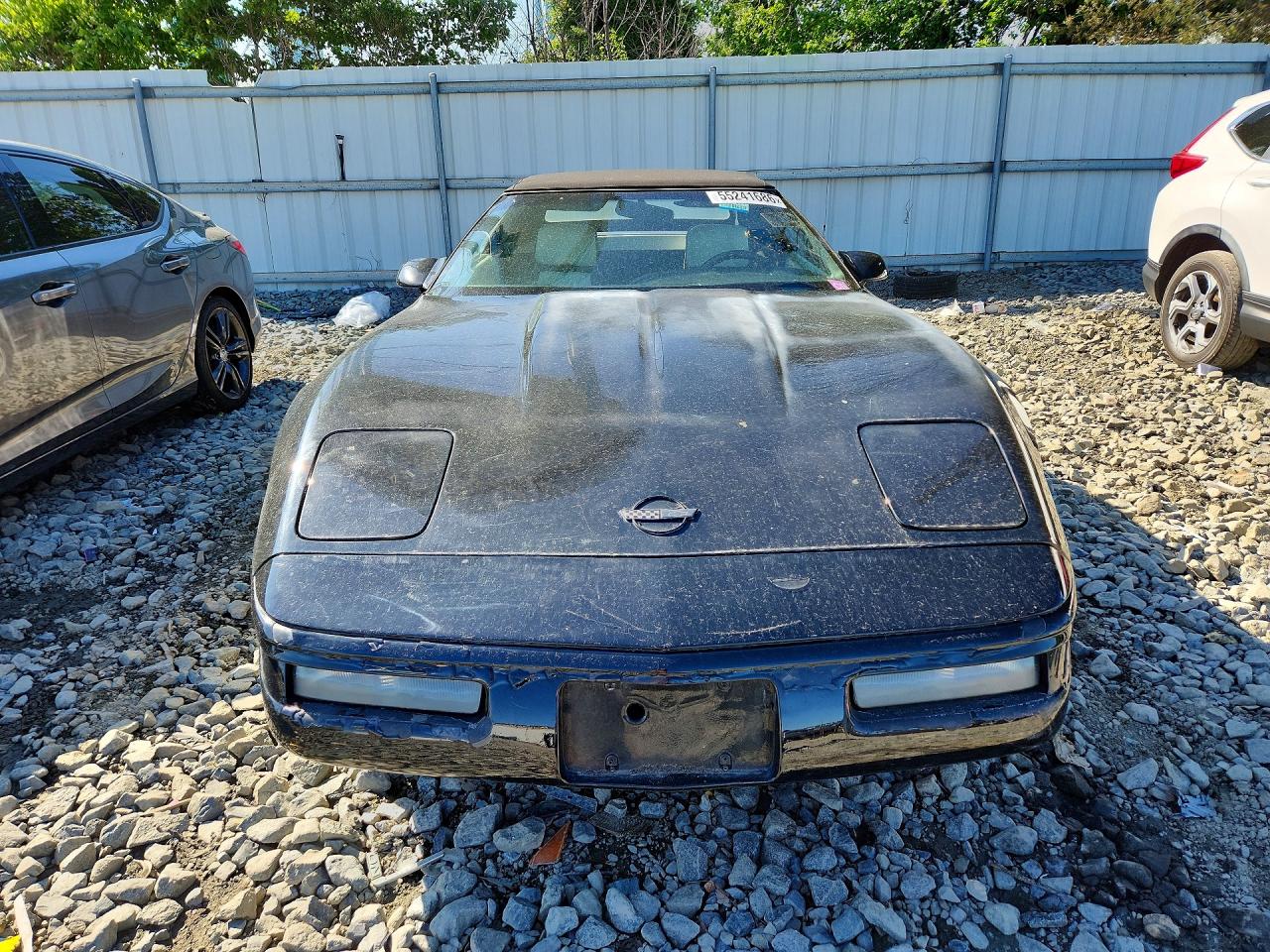 1992 Chevrolet Corvette Black vin: 1G1YY33P4N5109506