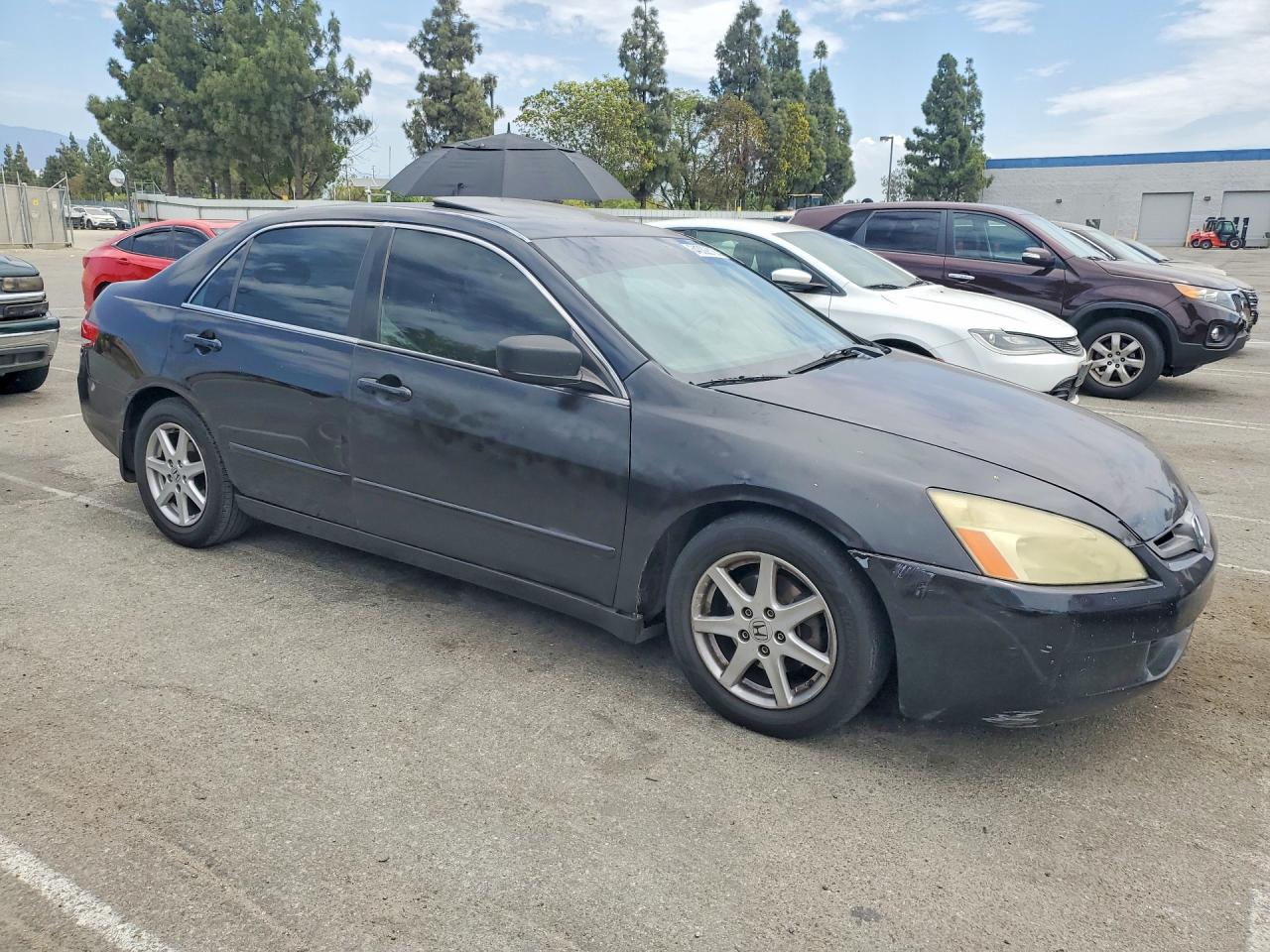 2003 Honda Accord Ex Black vin: 1HGCM66523A086029