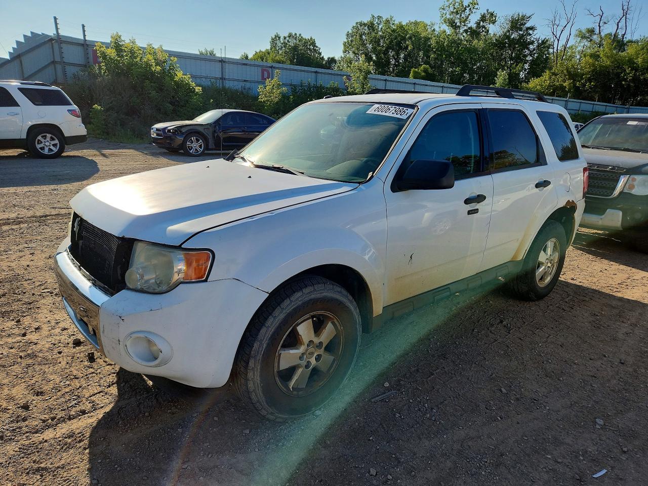 2012 Ford Escape Xlt White vin: 1FMCU0D76CKB95051