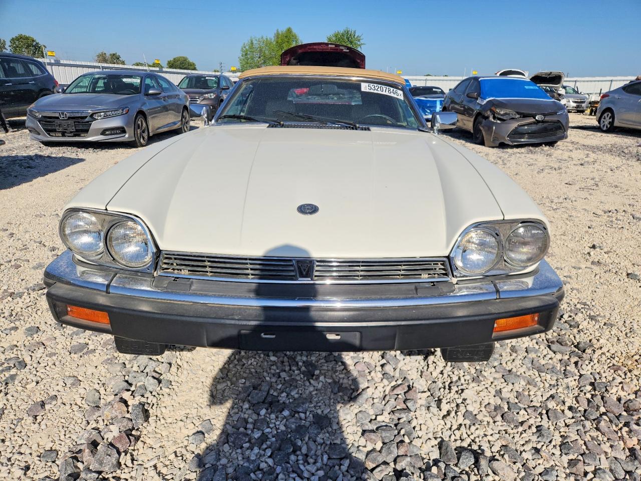 1988 Jaguar Xjs White vin: SAJNV5846JC144813