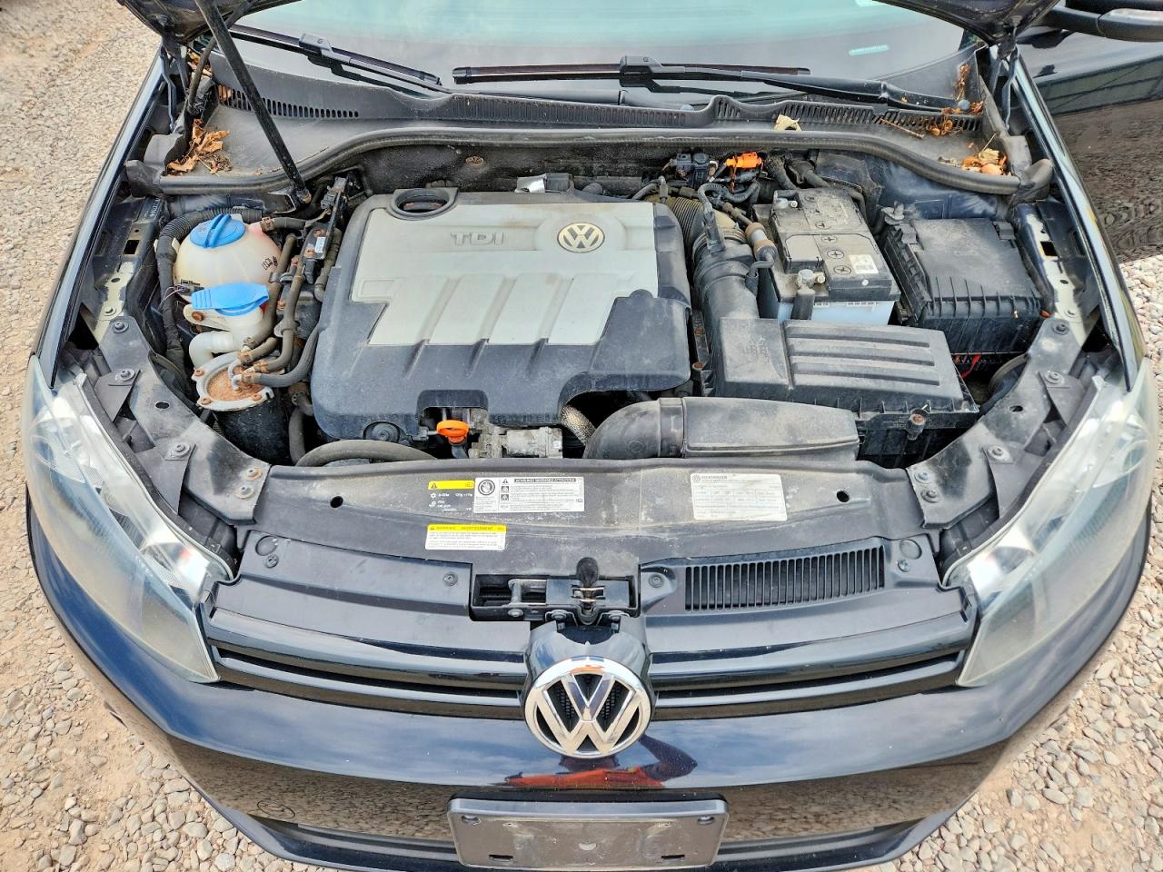 2013 Volkswagen Golf Black vin: WVWNM7AJ1DW123786