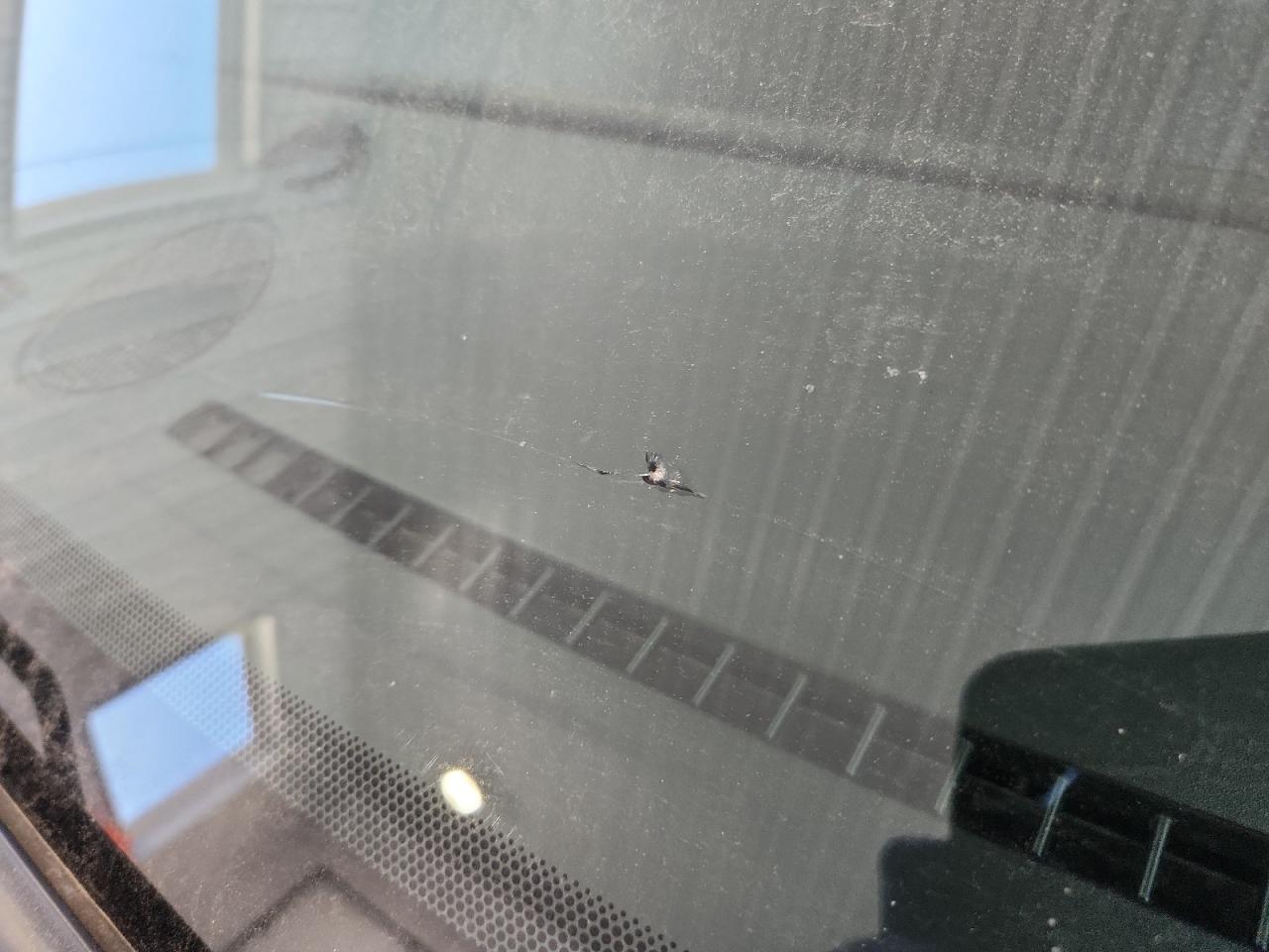 2015 Dodge Grand Caravan Se Серебряный vin: 2C4RDGBG6FR549991 Damage: Windshield, Broken, Replacement Required
