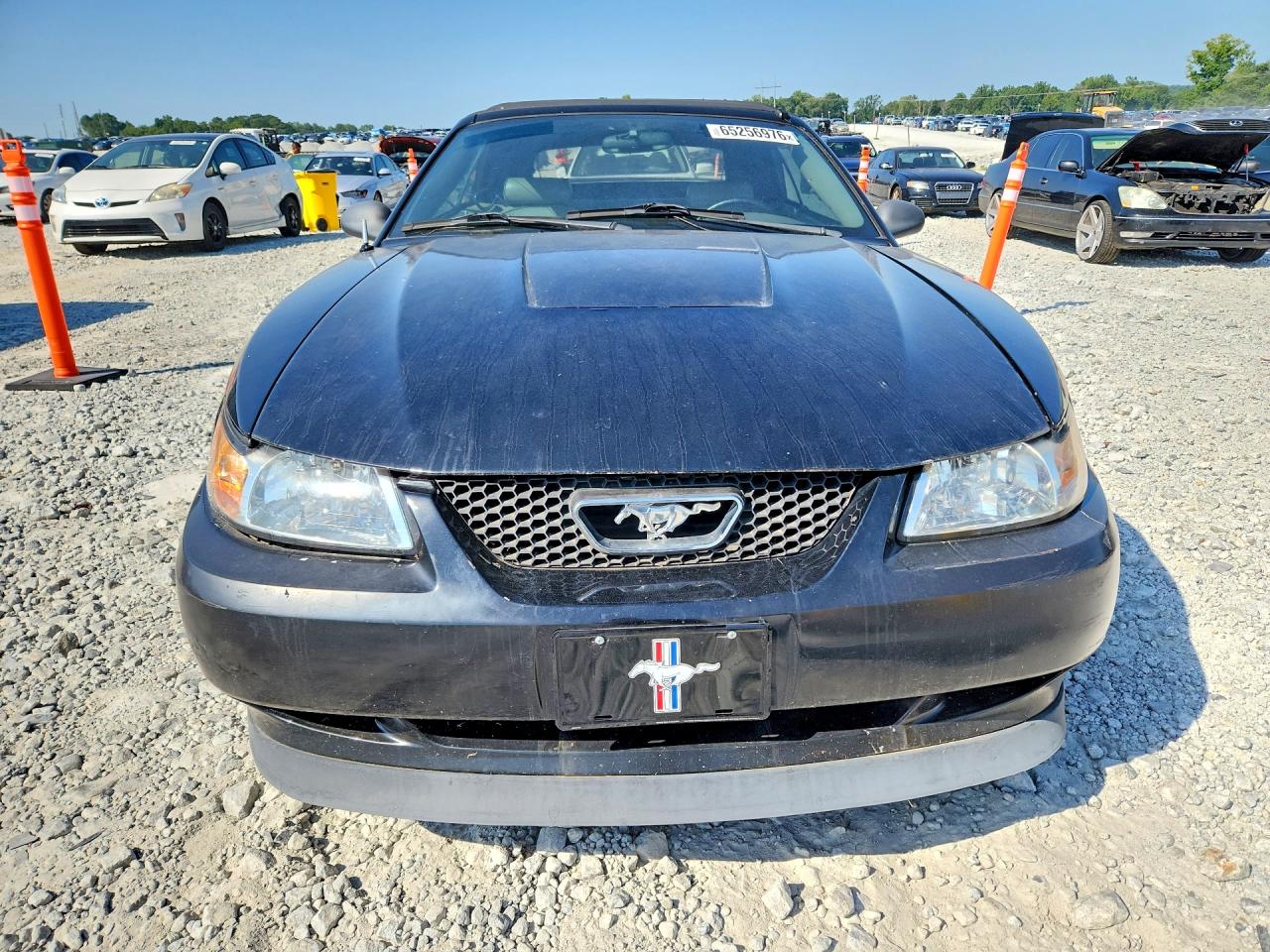 2003 Ford Mustang Black vin: 1FAFP44423F404970