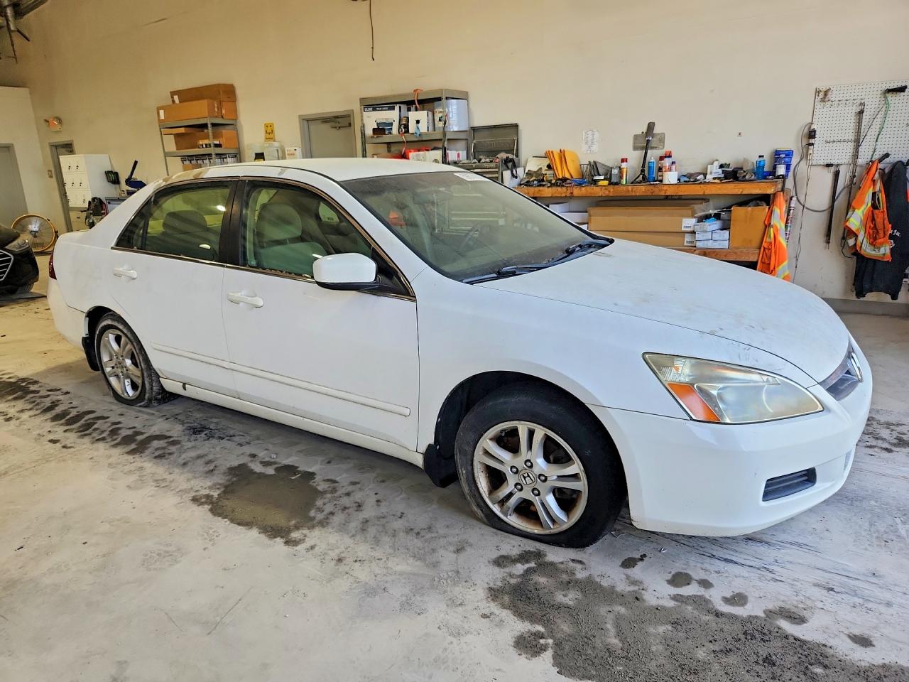 2006 Honda Accord Se White vin: 1HGCM56336A132612