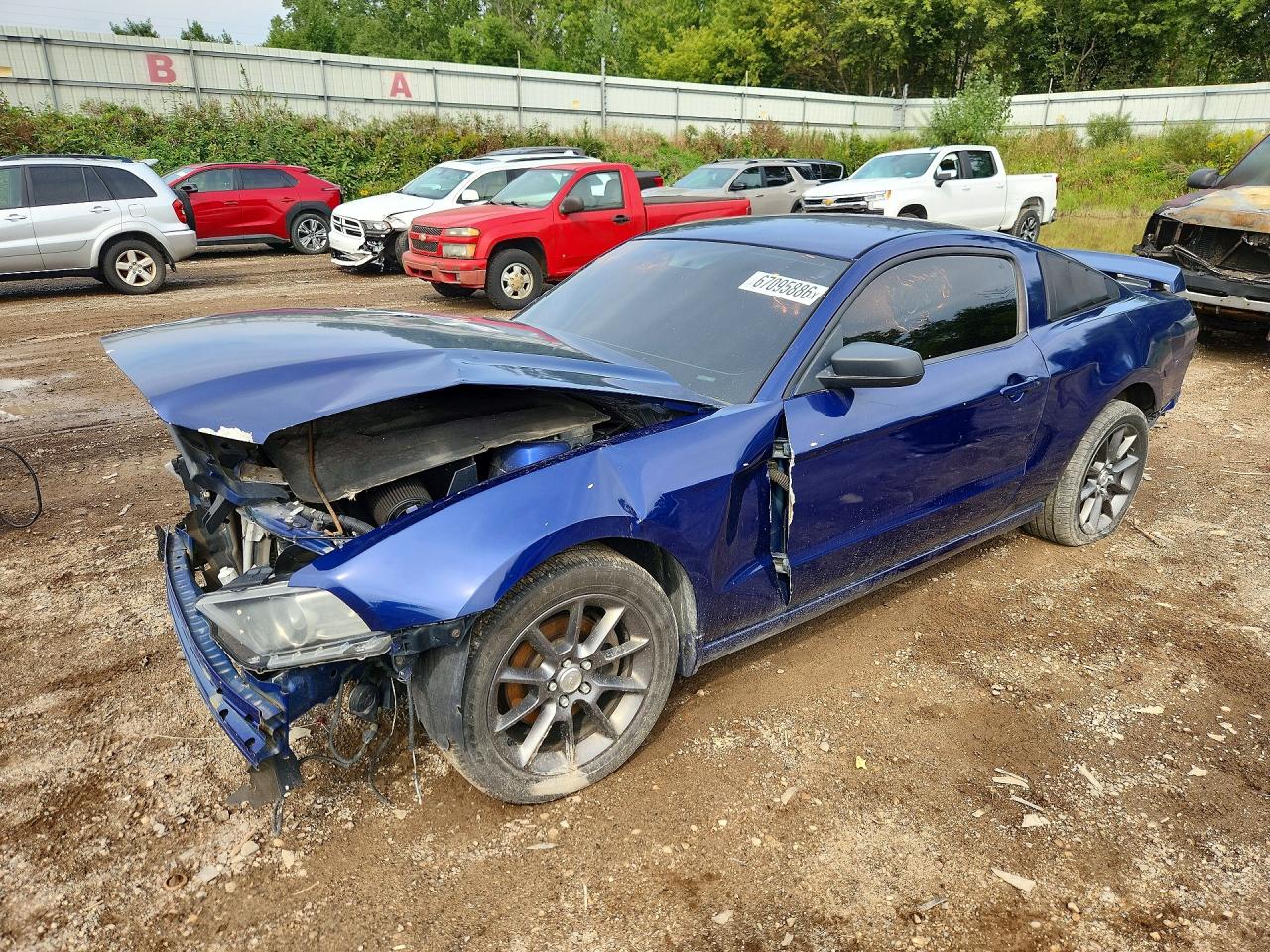 2013 Ford Mustang Blue vin: 1ZVBP8AM1D5266637