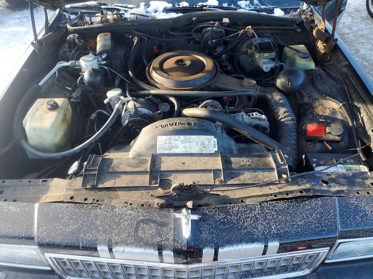1988 Chevrolet Caprice Classic Black vin: 1G1BN81Y9JR181506