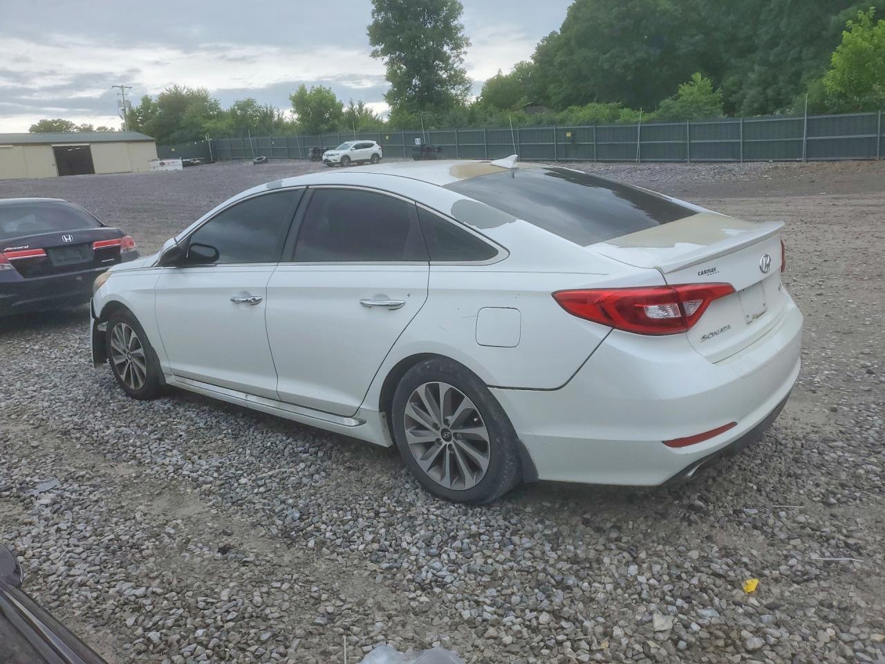 2015 Hyundai Sonata Sport Белый vin: 5NPE34AF0FH103969