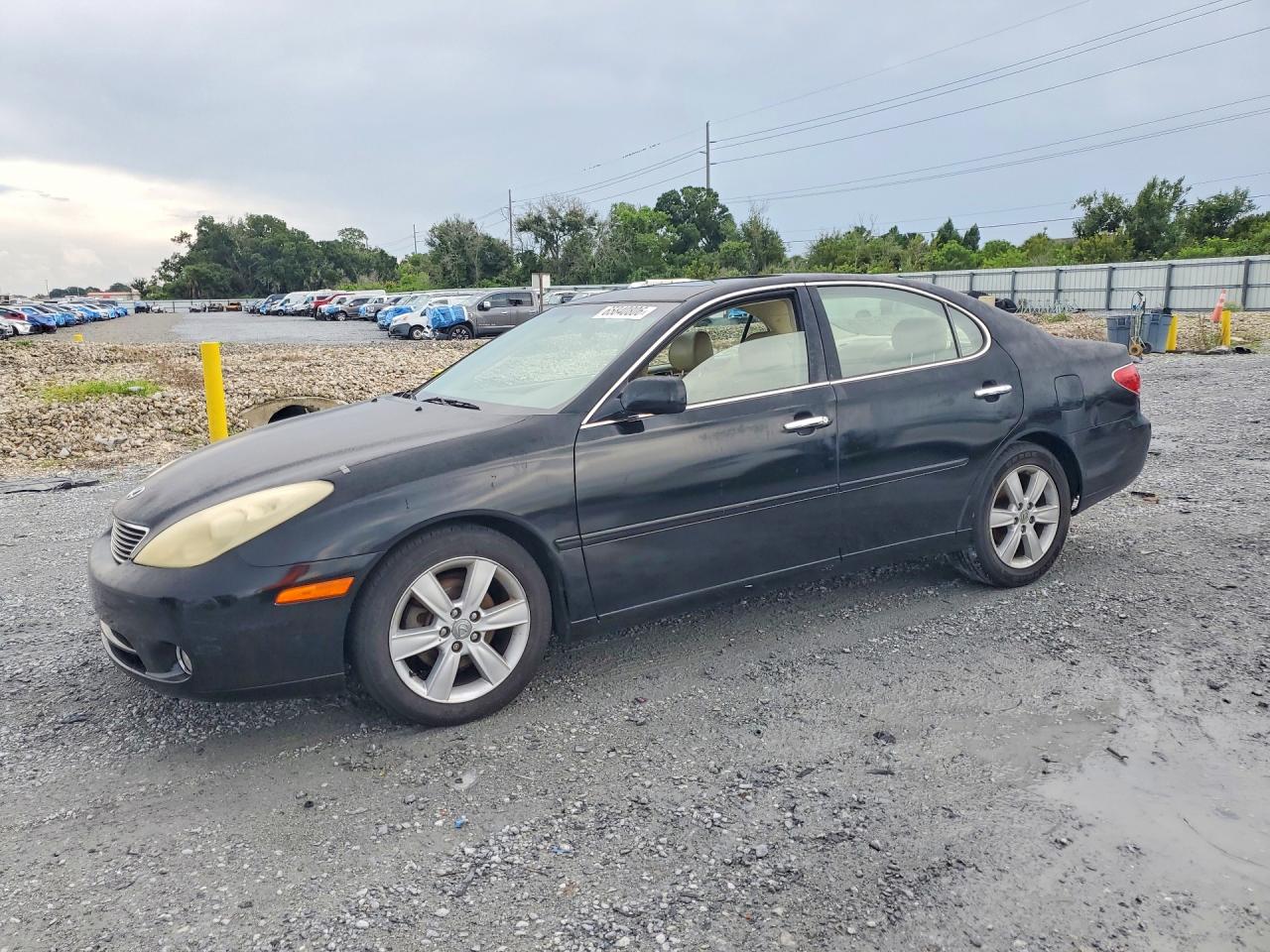 2005 Lexus Es 330 Black vin: JTHBA30G155084620
