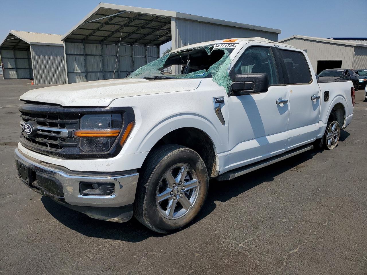 2025 Ford F150 Xlt White vin: 1FTEW3K84SKE87025