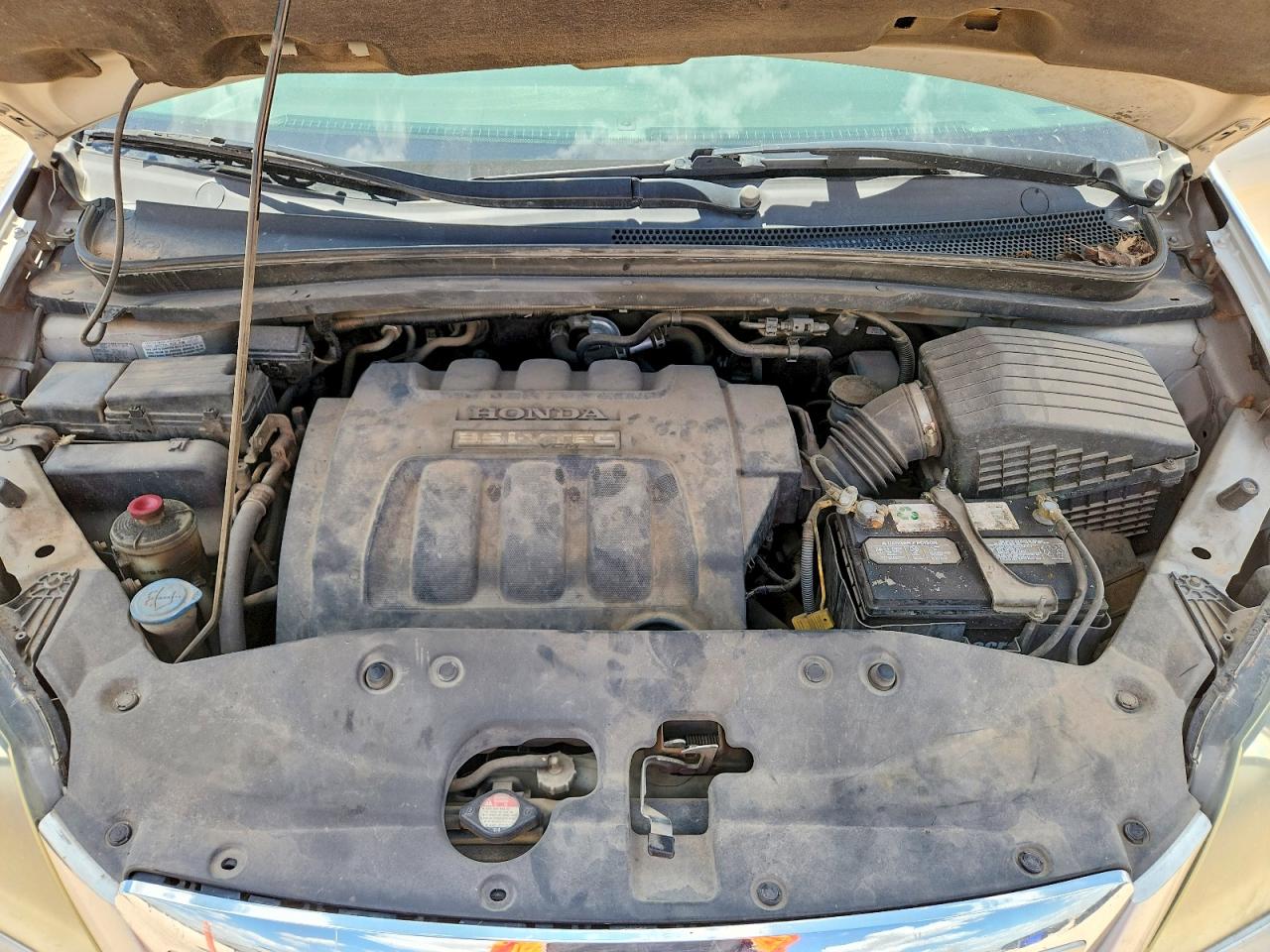 2006 Honda Odyssey Exl Silver vin: 5FNRL38636B406776