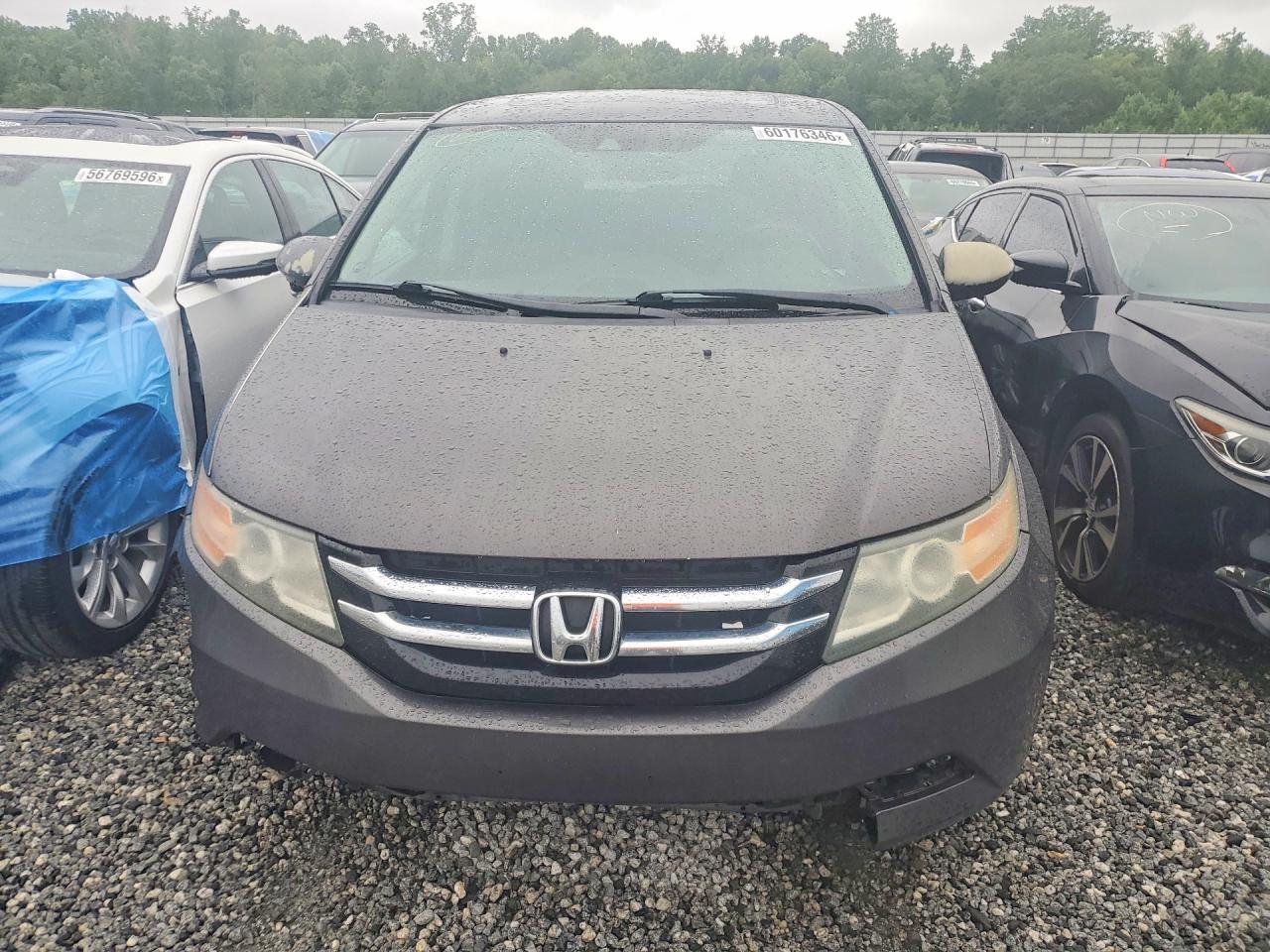 2015 Honda Odyssey Exl Gray vin: 5FNRL5H64FB064394