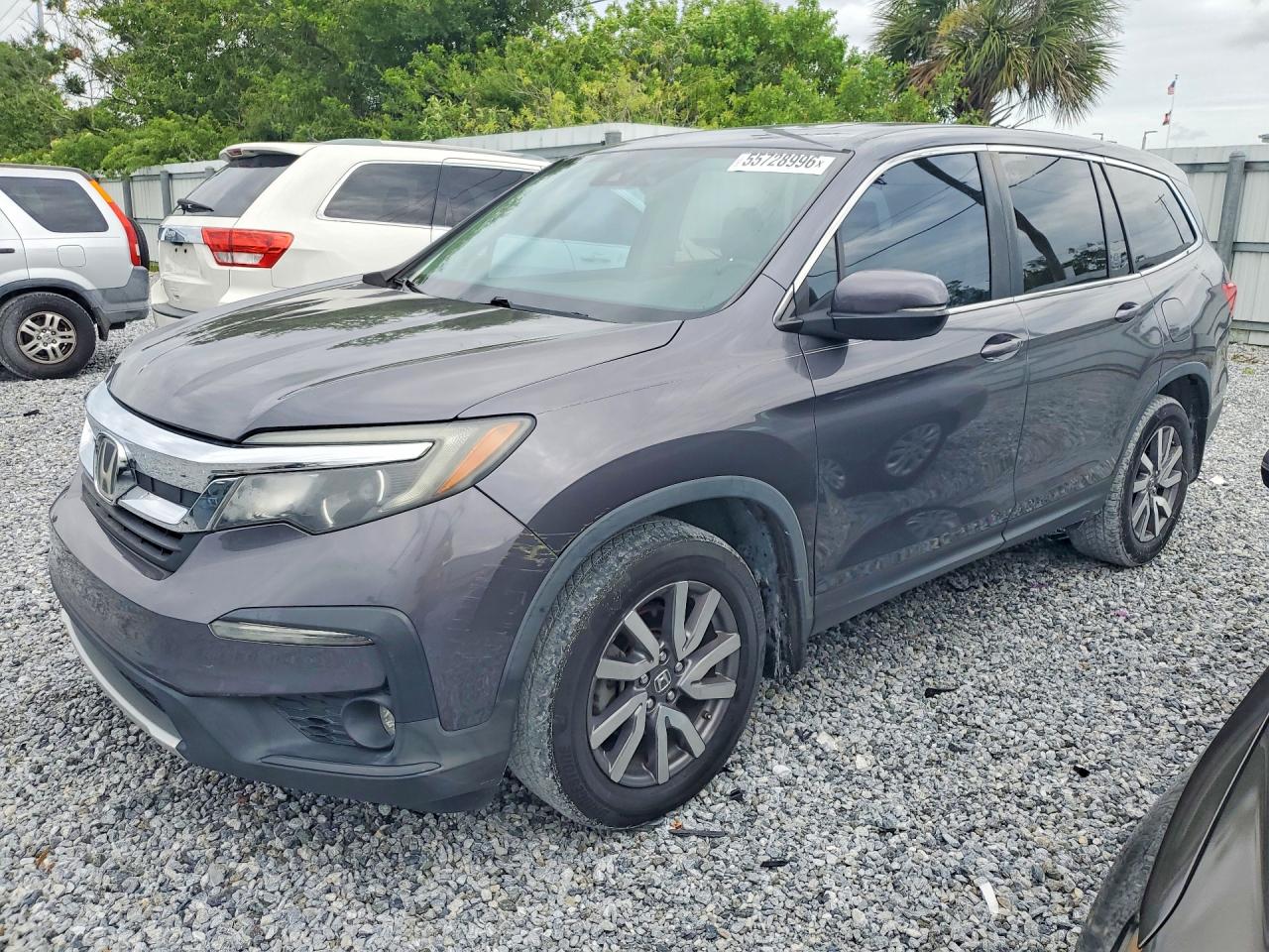 2019 Honda Pilot Exl Gray vin: 5FNYF5H50KB013382
