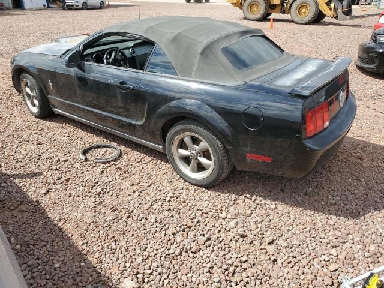 2006 Ford Mustang Black vin: 1ZVFT84N065125479