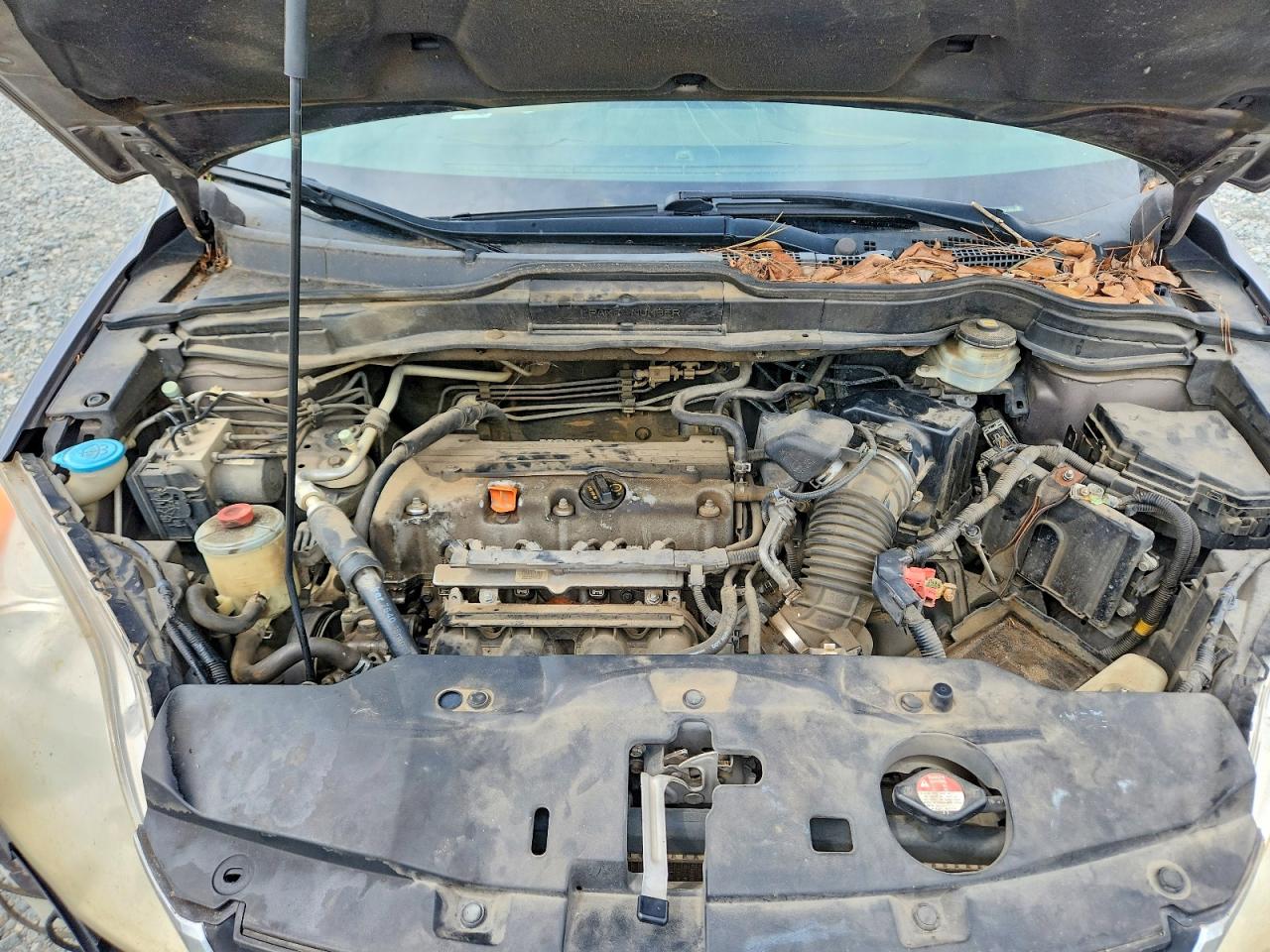 2011 Honda Cr-v Se Серый vin: 5J6RE4H43BL010038