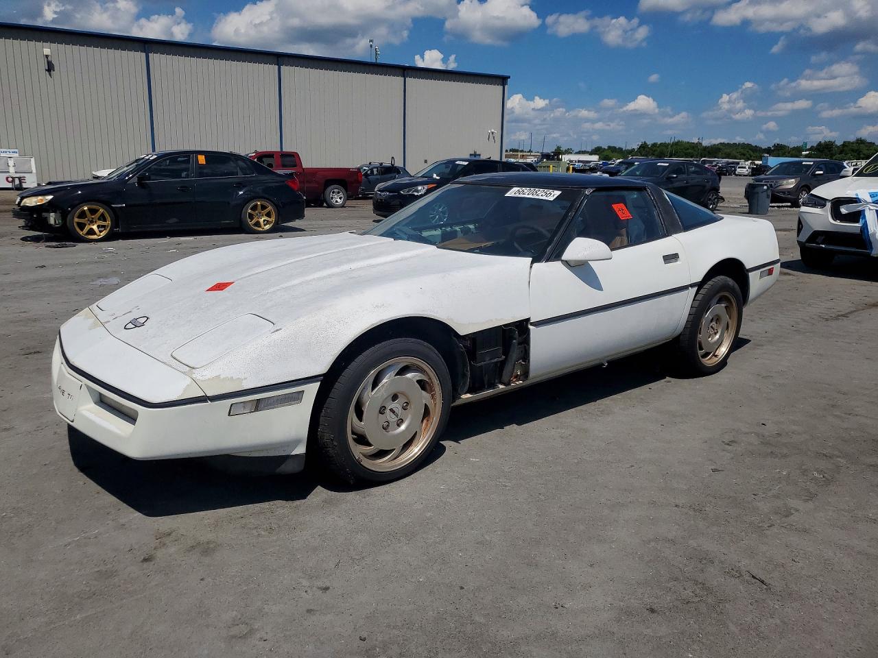 1989 Chevrolet Corvette White vin: 1G1YY2183K5102435