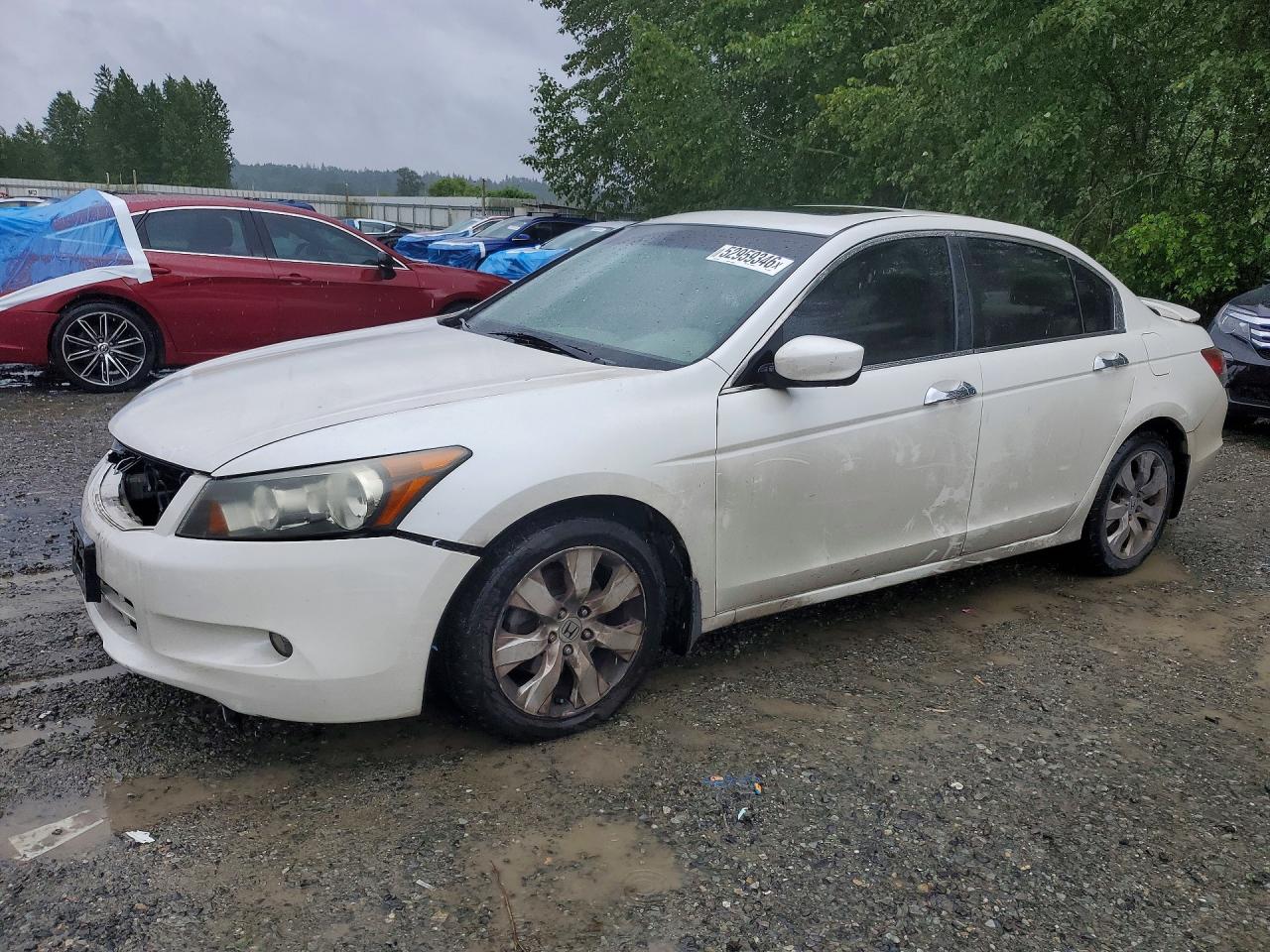 2008 Honda Accord Exl Белый vin: 1HGCP36818A058536