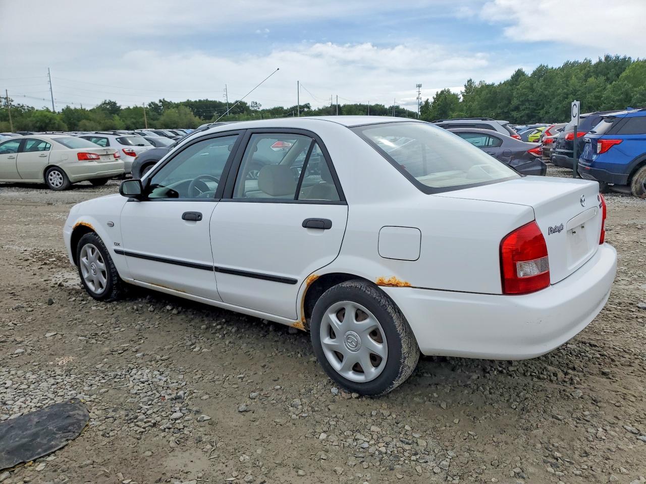 2003 Mazda Protege Dx White vin: JM1BJ225730162982