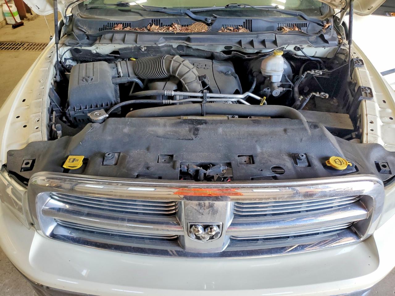 2010 Dodge Ram 1500 Cream vin: 1D7RV1CT0AS227608