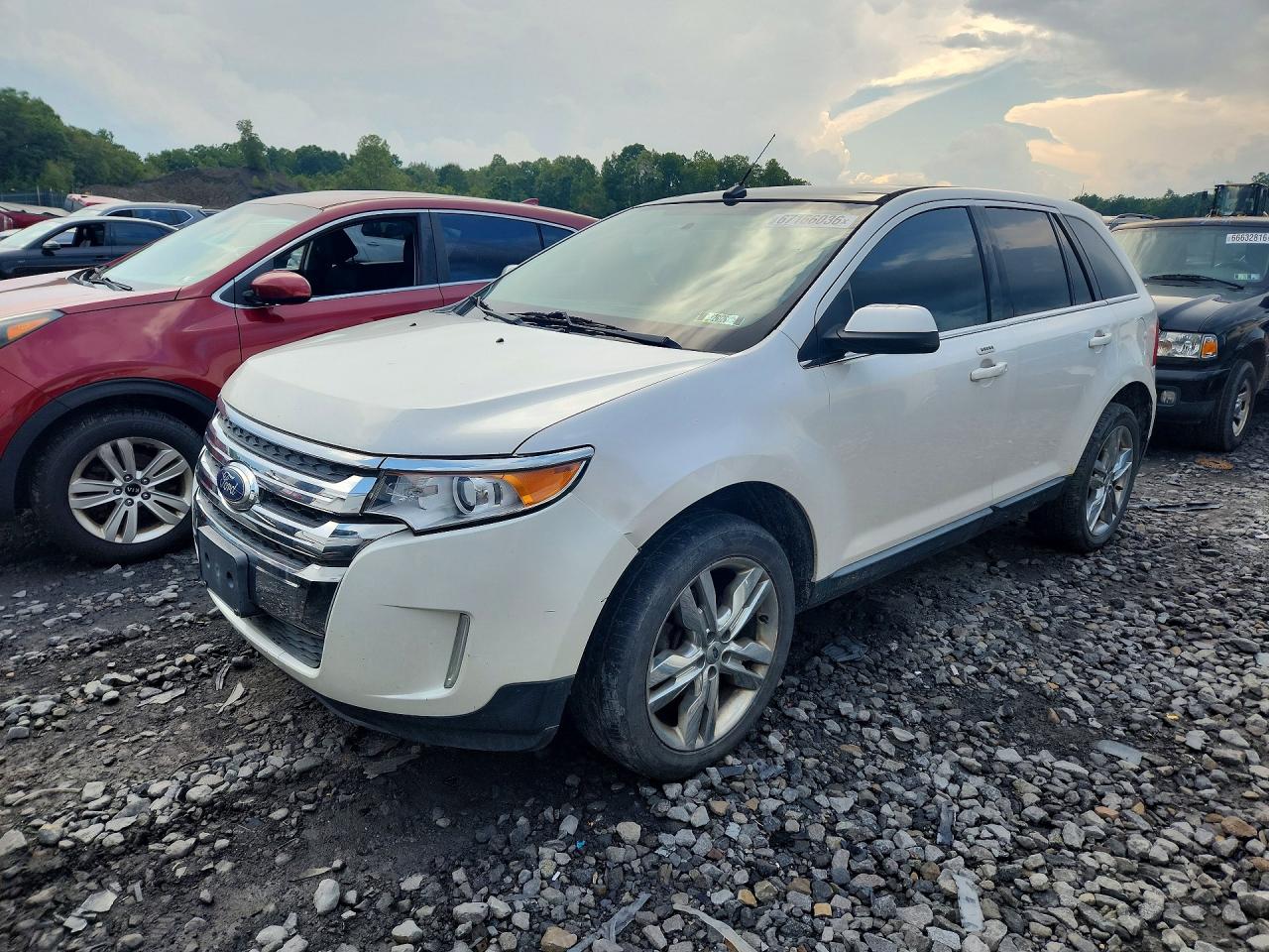 2011 Ford Edge Limited White vin: 2FMDK4KCXBBA37662
