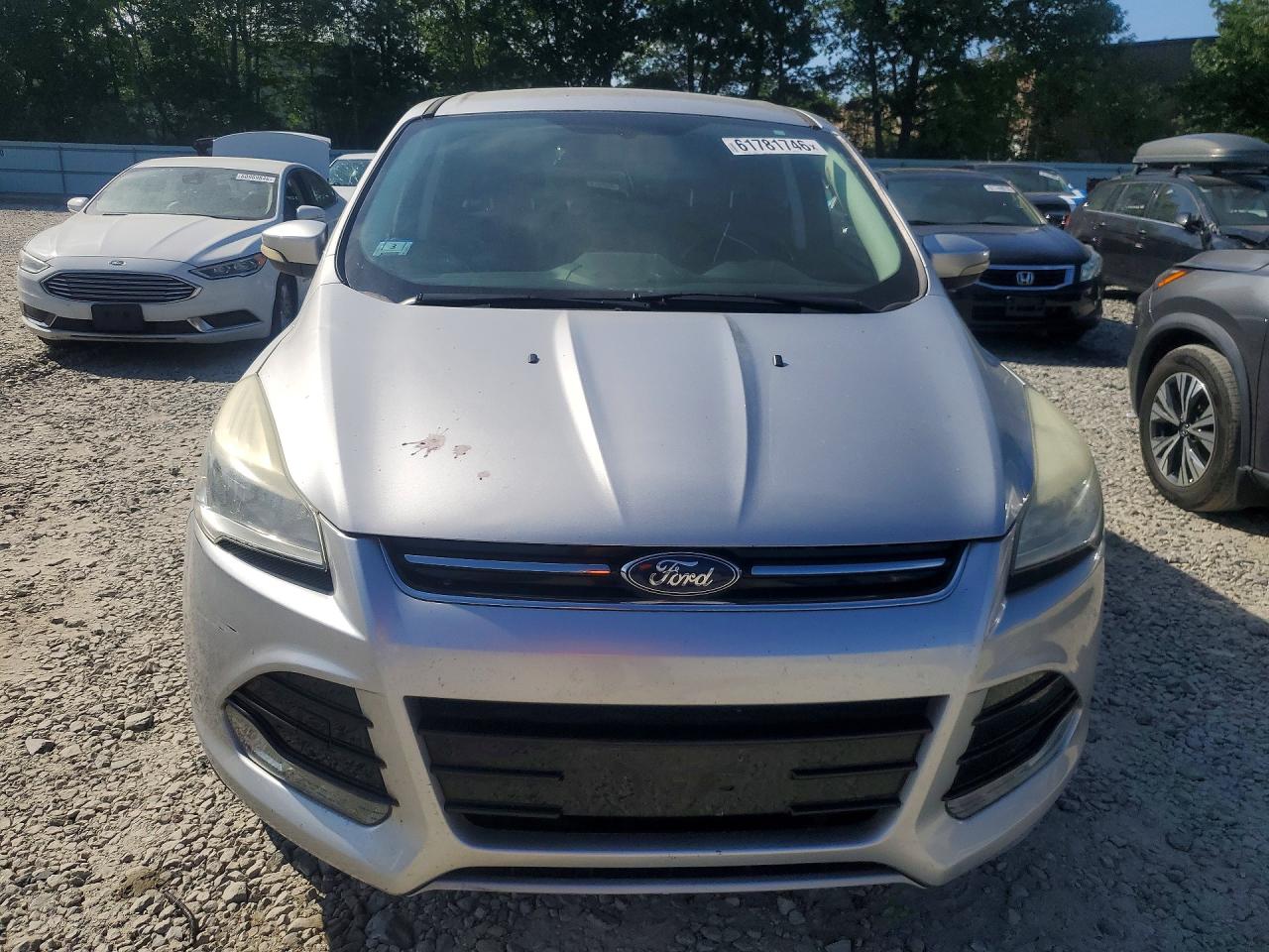 2013 Ford Escape Sel Gray vin: 1FMCU0H99DUD11201