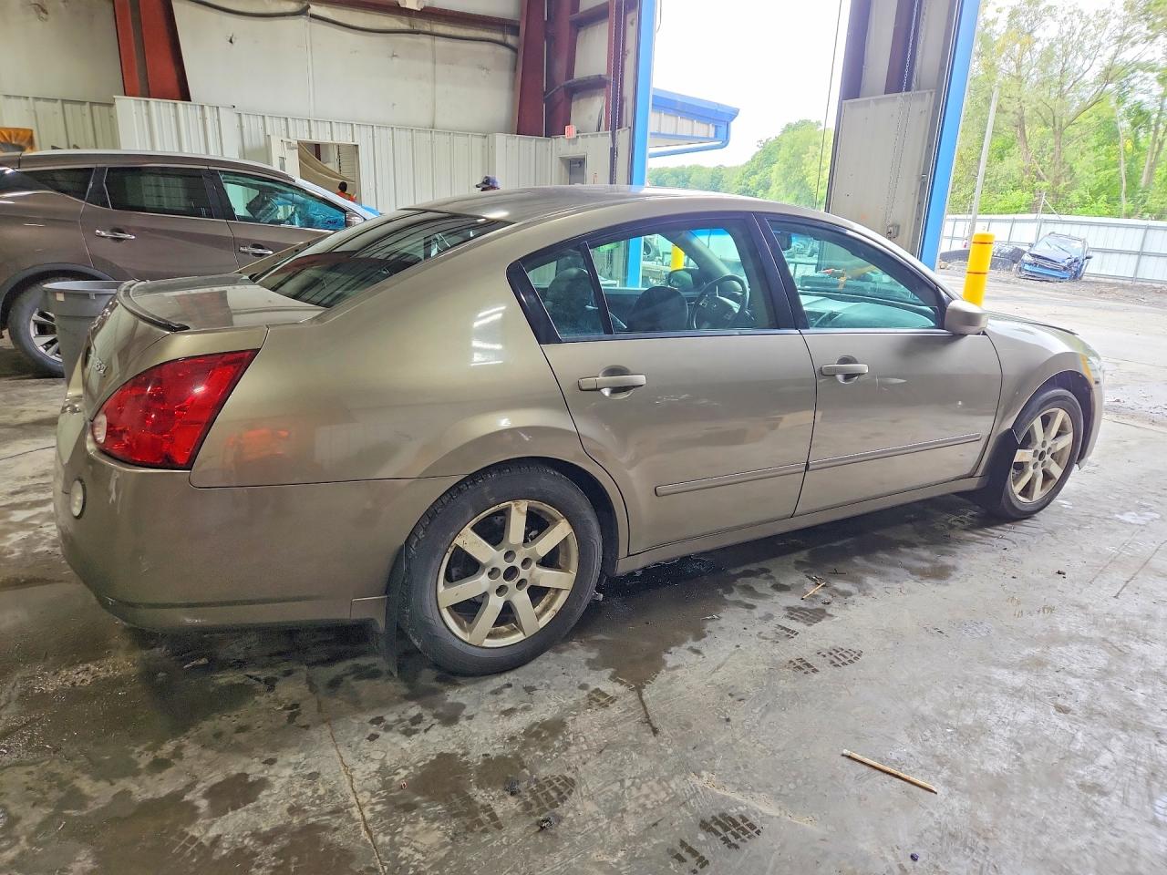 2006 Nissan Maxima 3.5 Se Gray vin: 1N4BA41E26C859269