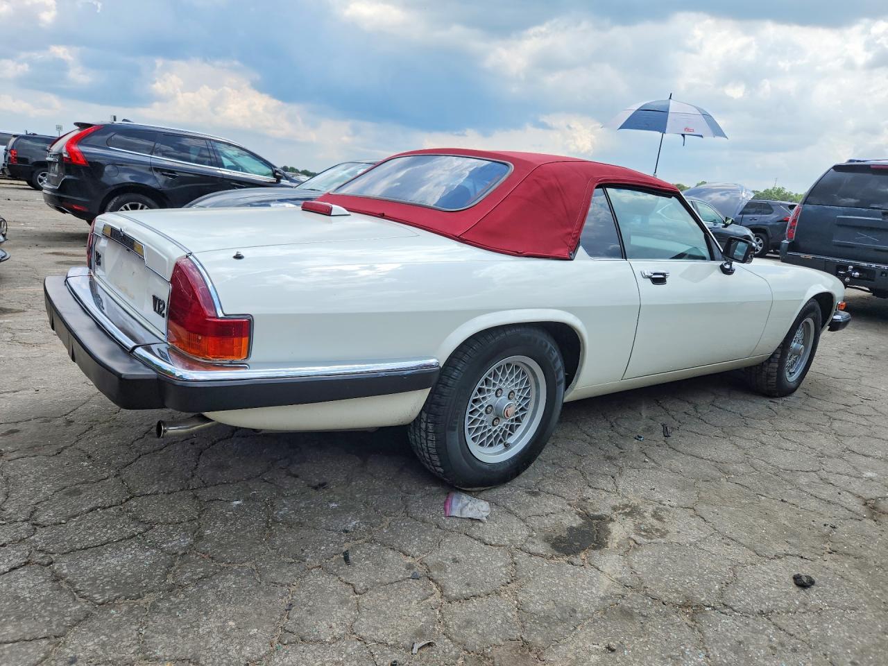 1989 Jaguar Xjs Белый vin: SAJNV4840KC162400